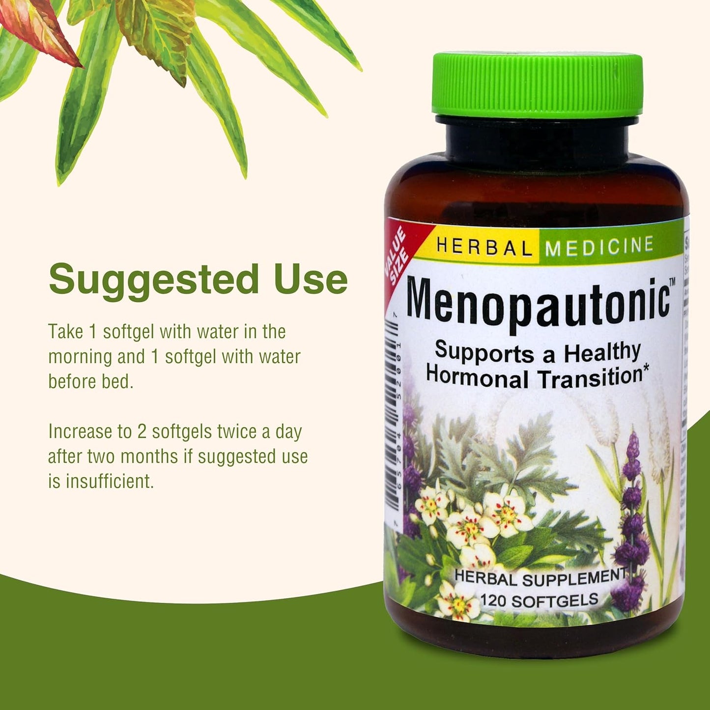 Menopautonic Softgels for Women - Hormonal Transition Support with Dong Quai & Motherwort - 120 Softgels