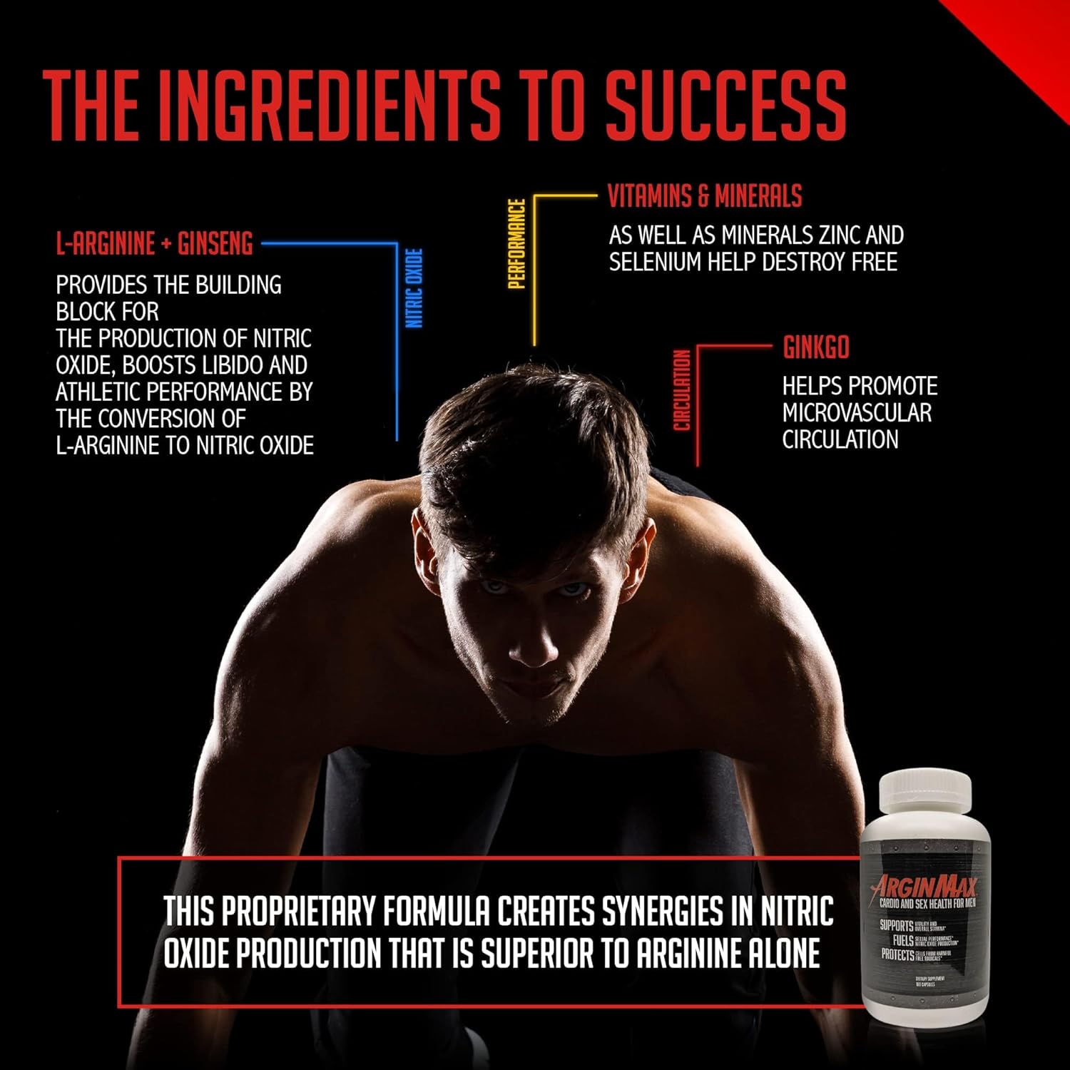 Men's ArginMax L Arginine Nitric Oxide Supplement - Boost Oxygen & Blood Flow, Non GMO Nitric Oxide Booster with Ginseng - 180 Capsules