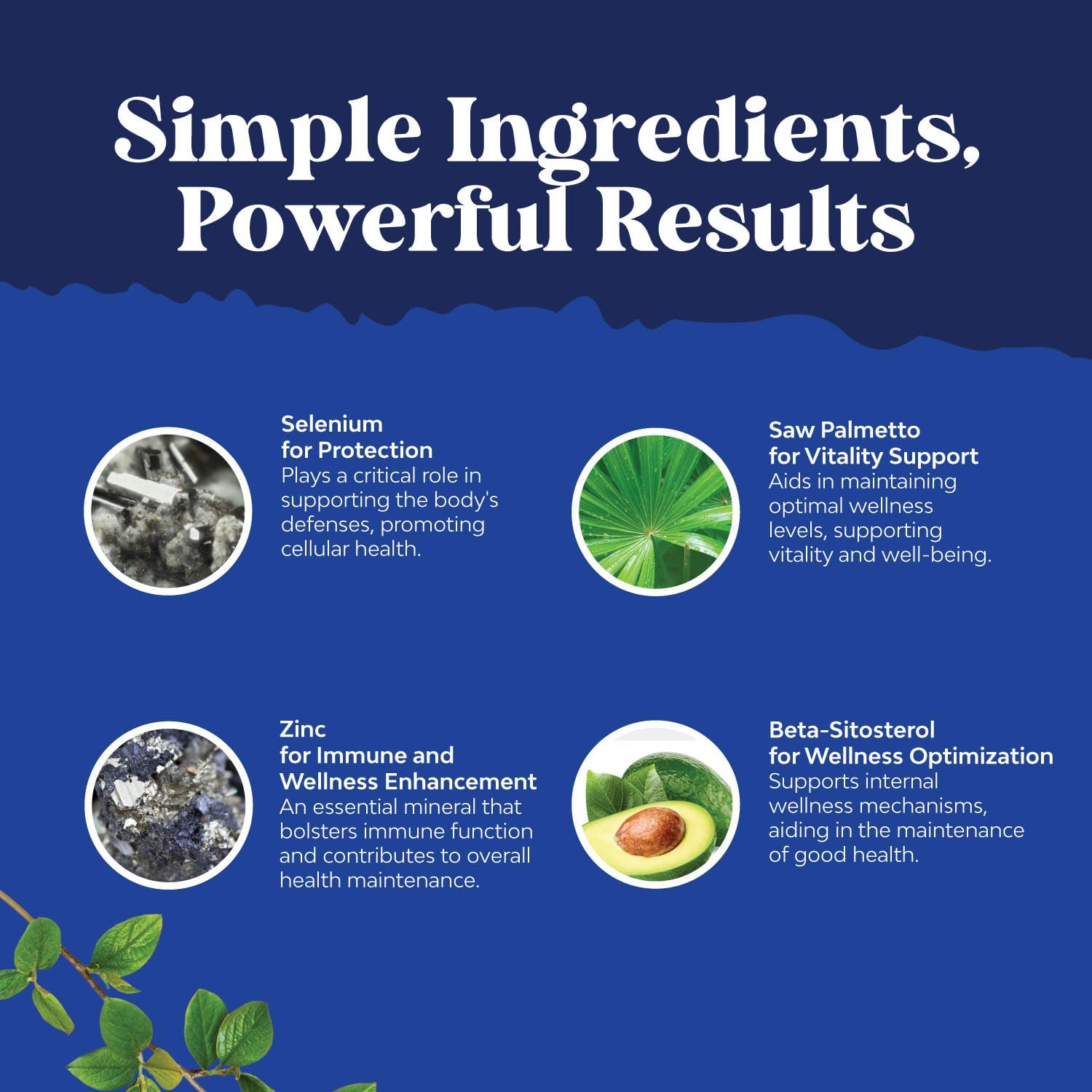 Men's Health Support Bundle: Saw Palmetto Extract with Beta Sitosterol for Prostate & Hair Health - 2 Pack