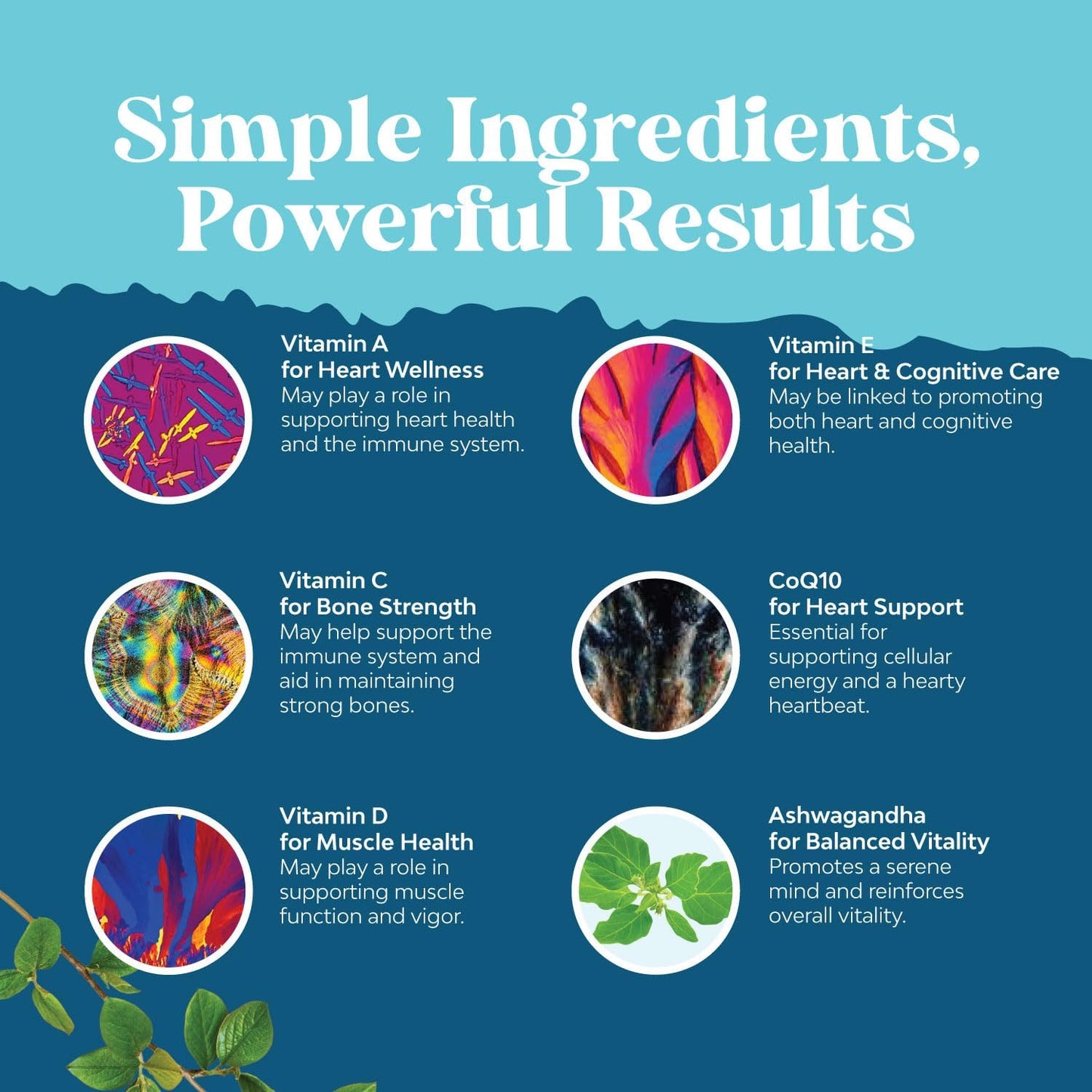 Men's Multivitamin Gummies with Superfood Complex - Daily Energy and Immune Support - CoQ10 and Ashwagandha - Adult Essential Minerals