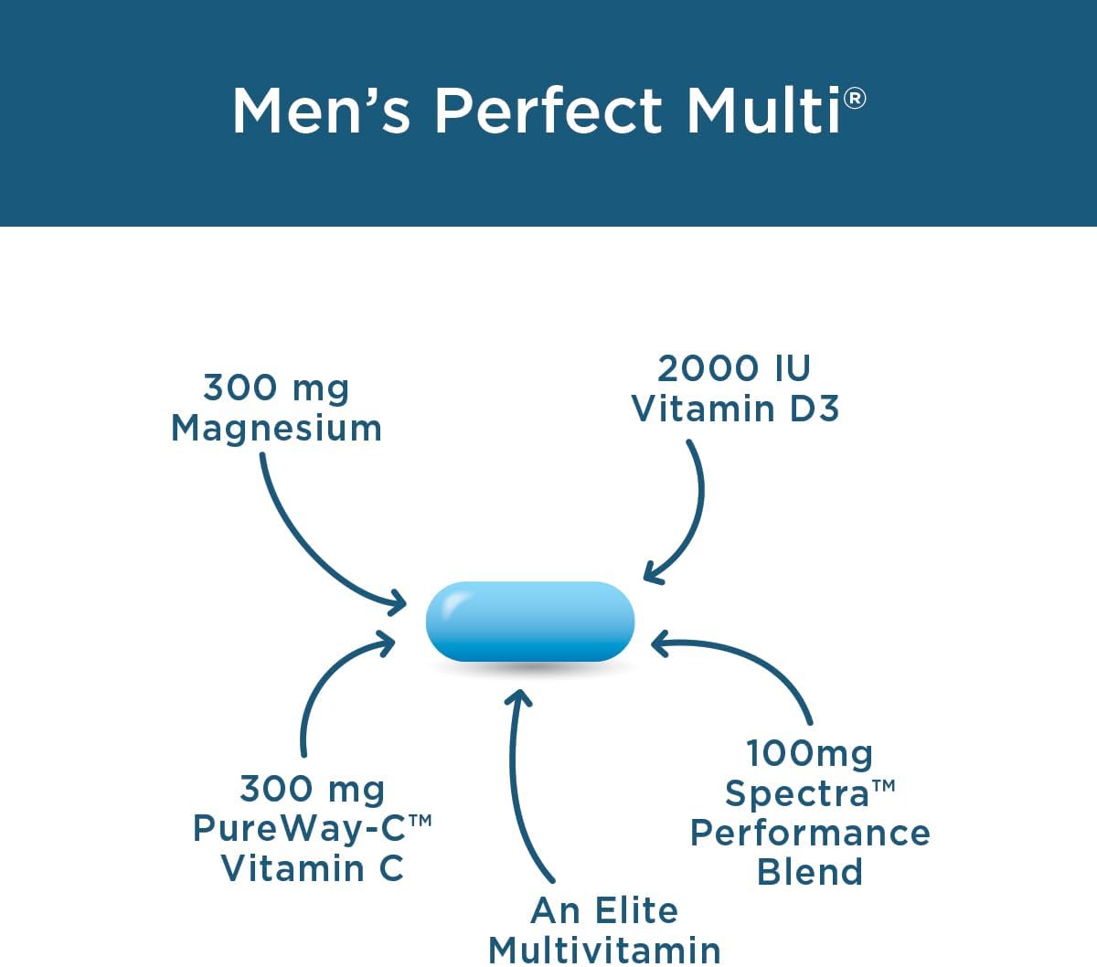 Men's Perfect Multi + MagBlue Bundle - Magnesium Bisglycinate Chelate Buffered + Vitamin D3 for Healthy Vitality, Energy + More