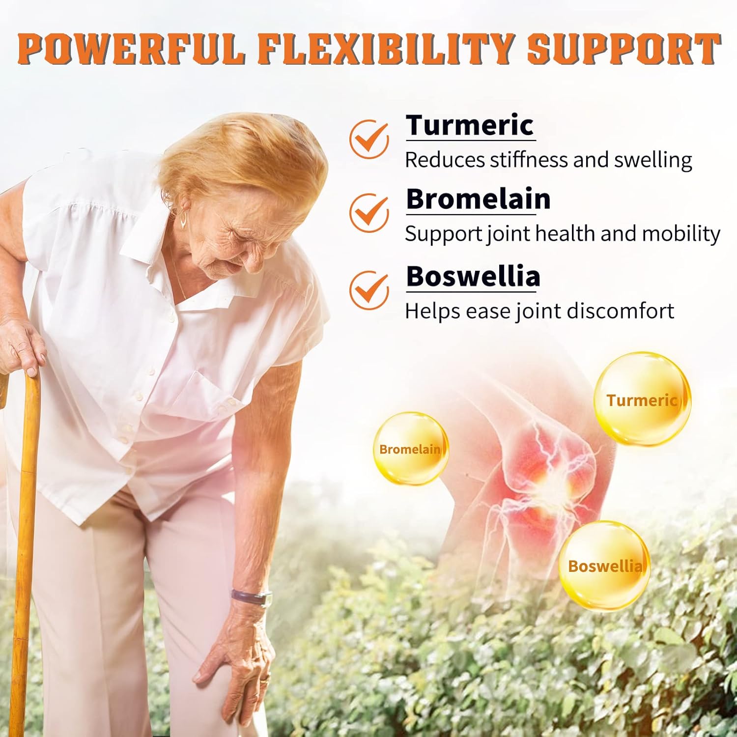 Men's Probiotics with Glucosamine Chondroitin MSM for Joint Support - Shellfish Free Supplement