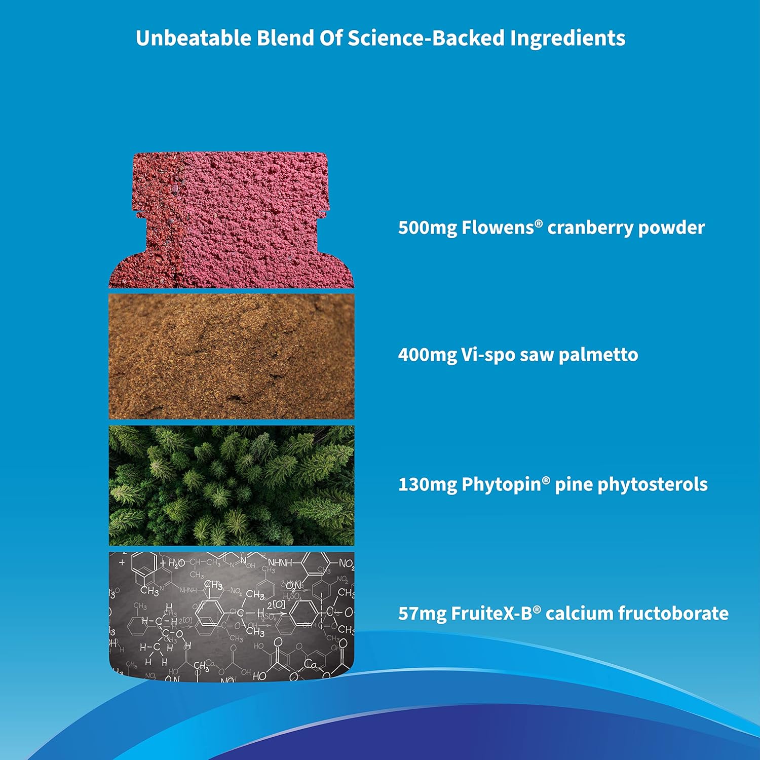 Men's Prostate Supplement with Clinical-Strength Ingredients - Saw Palmetto for Urinary Flow & Prostate Support, 28 Capsules