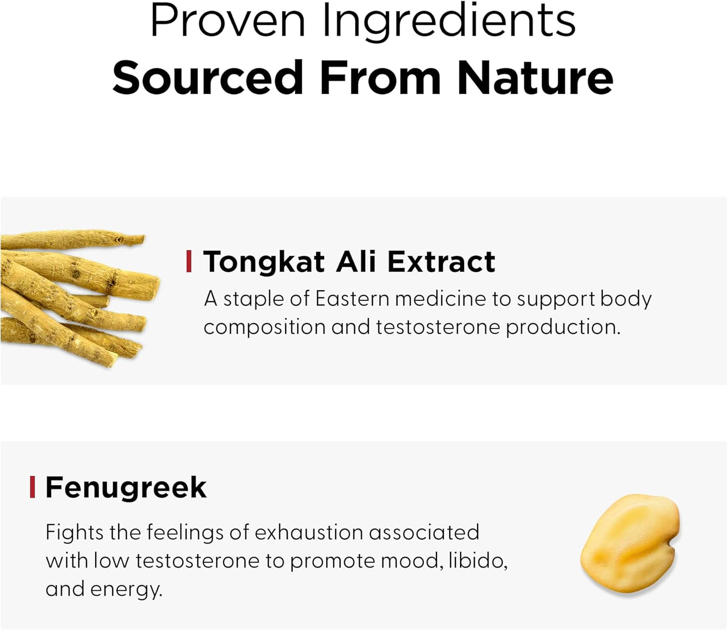 Men's Testosterone Support Supplement | Boost Energy, Stamina & Performance | Fenugreek & Natural Ingredients | Made in USA | REX MD