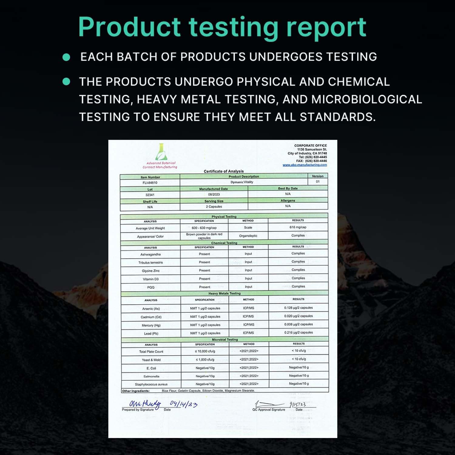 Men's Vitality & Energy Booster with Ashwagandha, PQQ, Tribulus Terrestris Extract, Vitamin D3 - 60 Capsules, USA Made