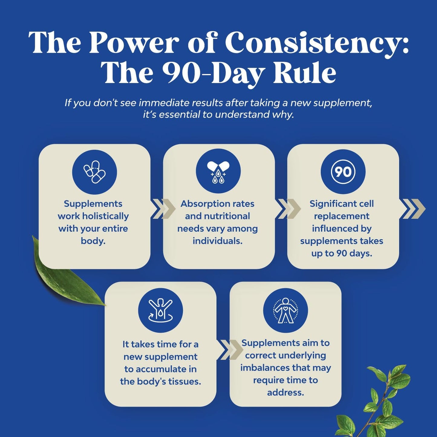 Men's Wellness Supplement with Black Maca Root, Siberian Ginseng, and Ashwagandha - Herbal Capsules for General Health - 60 Servings