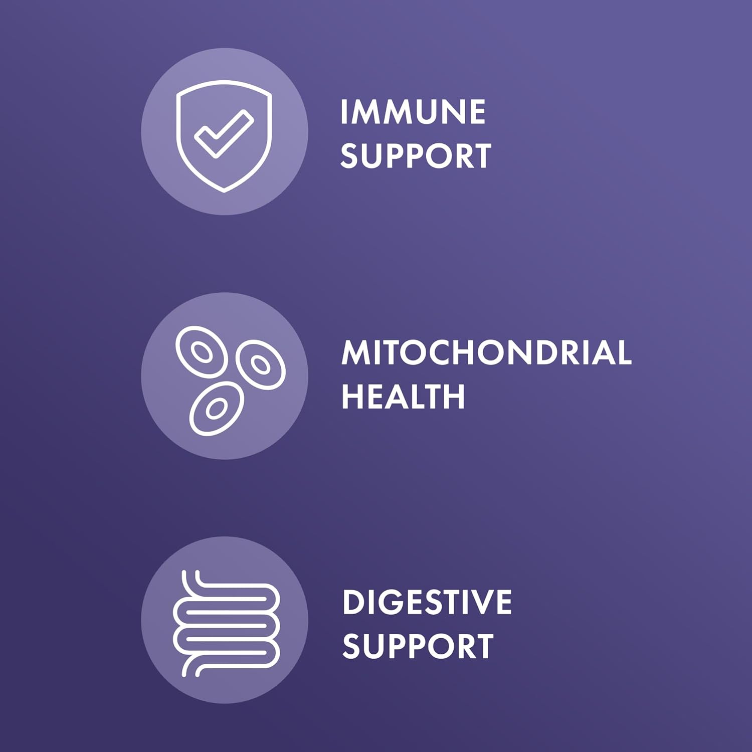 Mercola Gluten Enzymes 30 Capsules - Non-GMO, Gluten & Soy Free Dietary Supplement