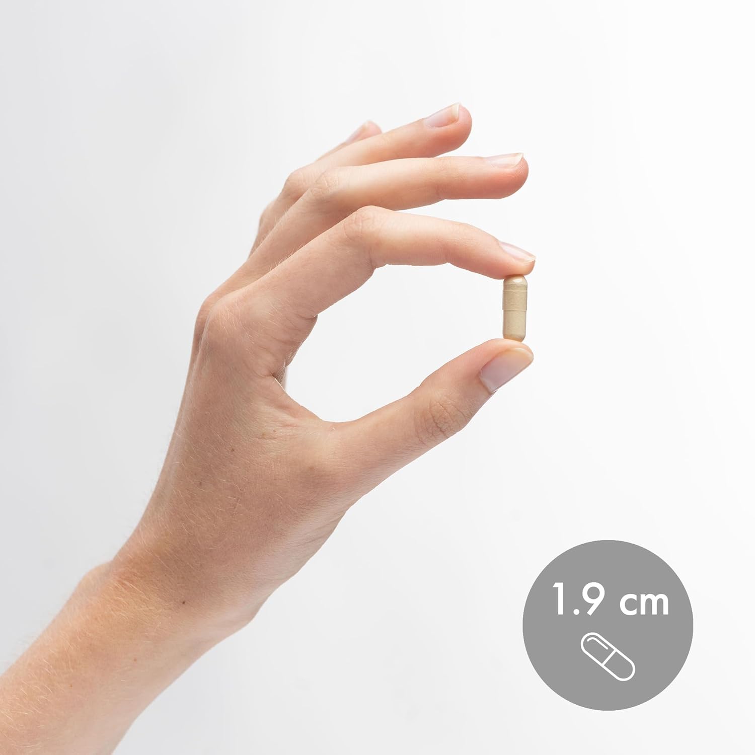 Mercola Gluten Enzymes 30 Capsules - Non-GMO, Gluten & Soy Free Dietary Supplement