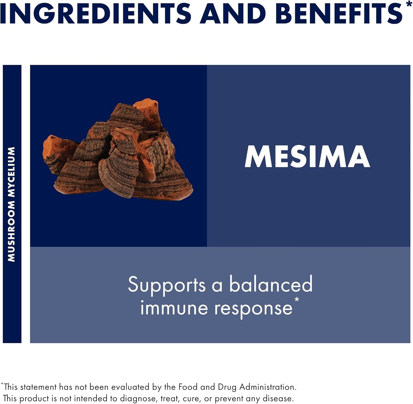 Mesima Mushroom Capsules - Immune Support & Antioxidant Supplement - Boosts Balanced Immune Response - 60 Capsules