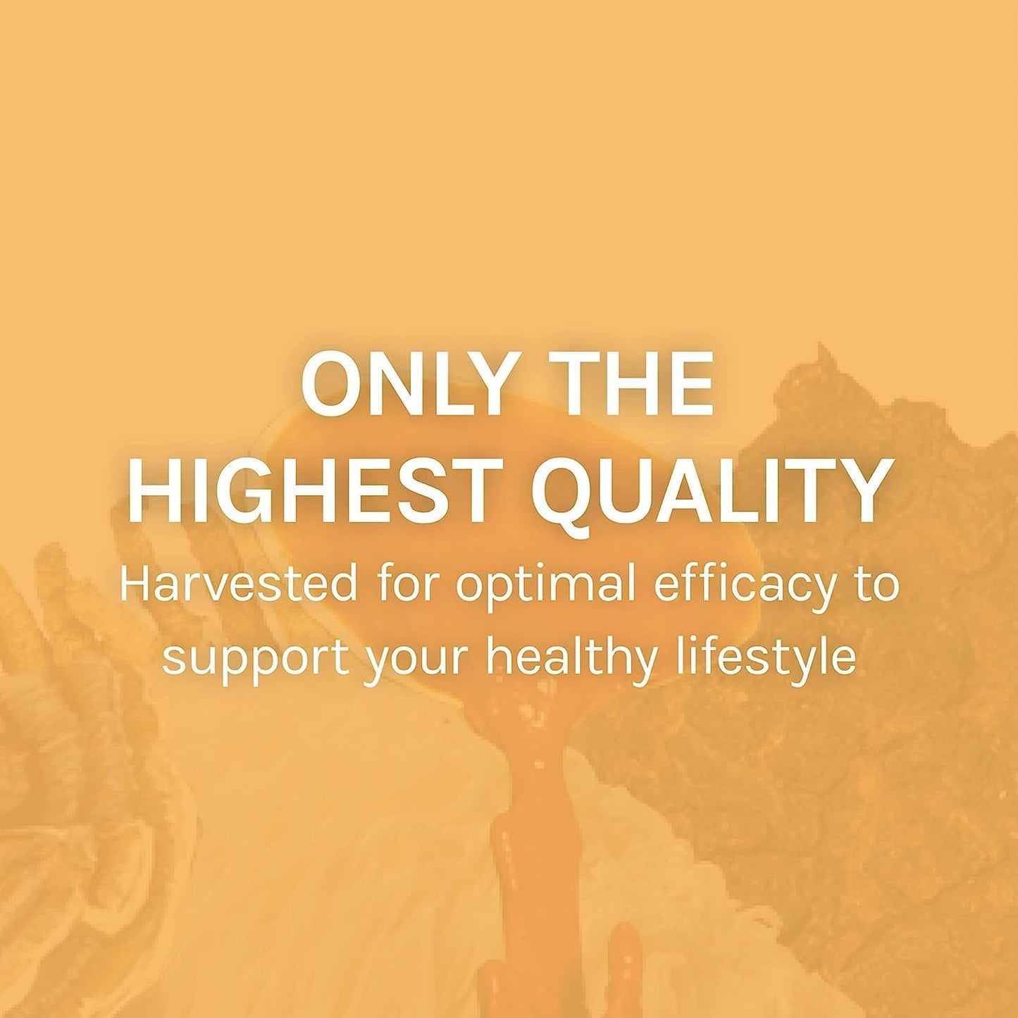 Mesima Mushroom Capsules - Immune Support & Antioxidant Supplement - Boosts Balanced Immune Response - 60 Capsules