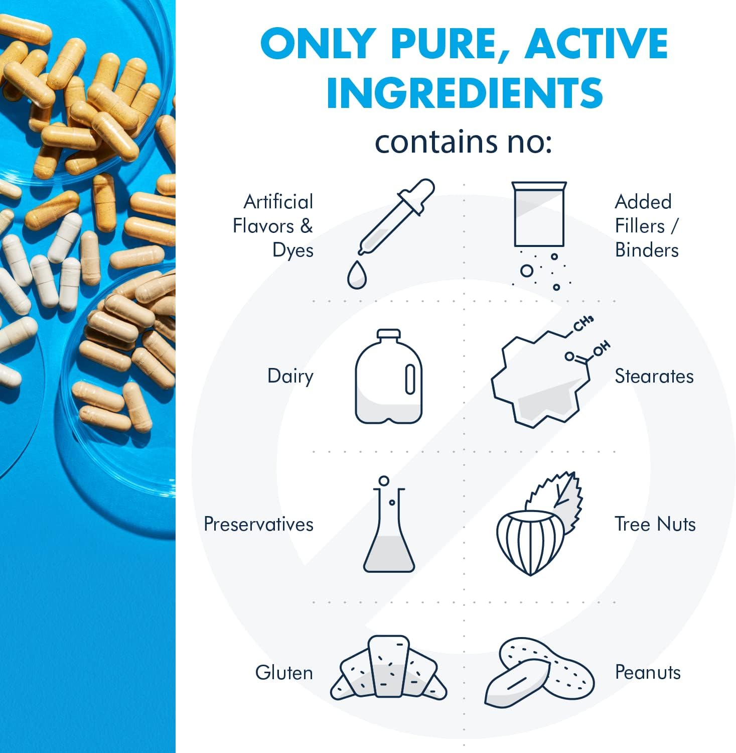 Metabolic Maintenance Brain Cell + Magnesium Glycinate Capsules - Citicoline, DMAE, Phosphatidylserine + Ginkgo for Memory + Focus, Supports Calm, Mood, Muscle + Cardiovascular Health (180 Caps)