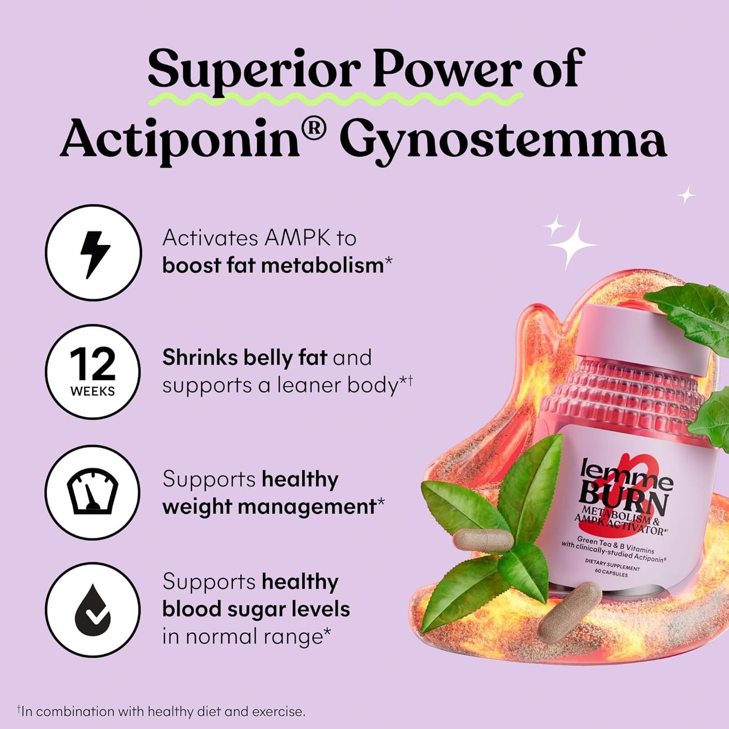 Metabolism Boosting Supplement for Men and Women - AMPK Activating, Belly Fat Burning Formula with Actiponin Gynostemma, Green Tea Extract, Vitamins B6 & B12 - Vegan, Gluten Free - 180 Count