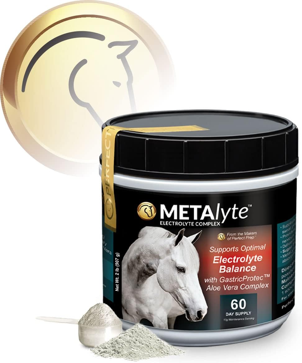 MetaLyte Complete Equine Electrolyte Powder with Aloe Vera for Digestive Health (2 lb, 60 Day Supply)