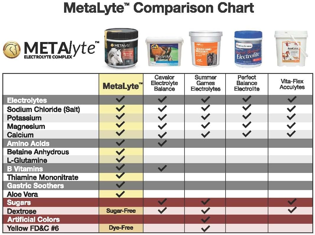 MetaLyte Complete Equine Electrolyte Powder with Aloe Vera for Digestive Health (2 lb, 60 Day Supply)