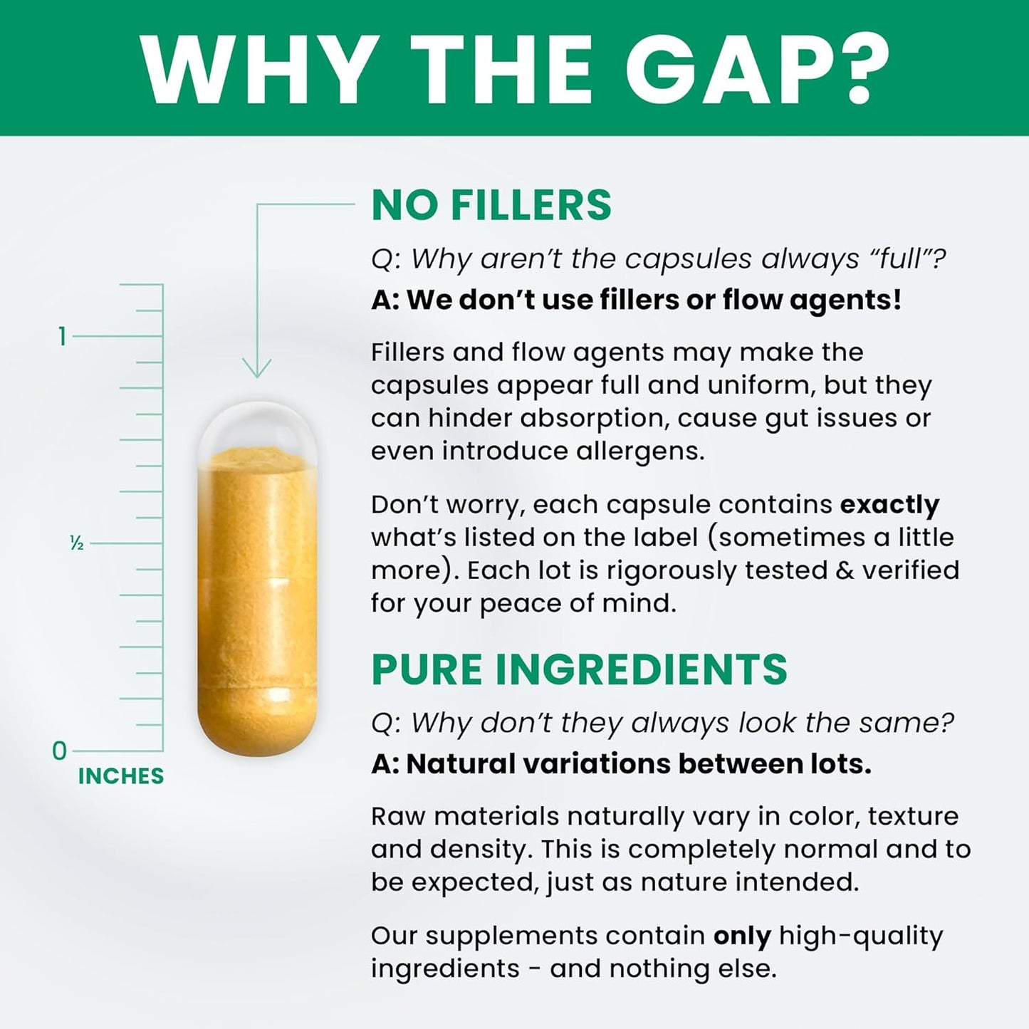 Methyl Active B Vitamins Supplement for Men and Women - Methylated B12, Methylfolate, Benfotiamine, Choline, Niacin, TMG - 60 Capsules