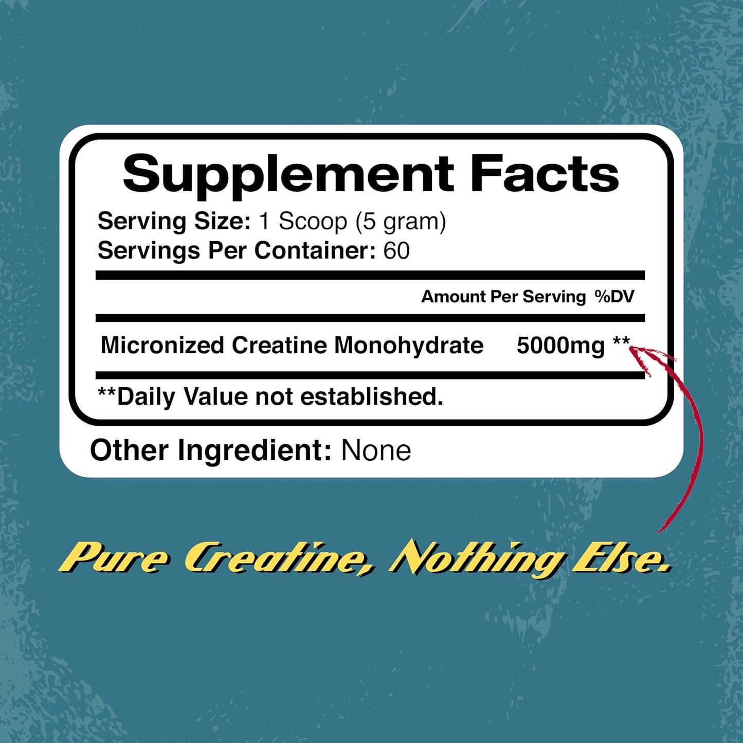 Micronized Creatine Monohydrate Powder for Pre and Post Workout, Muscle Building, and Athletic Performance - 300g, 5000mg per Serving