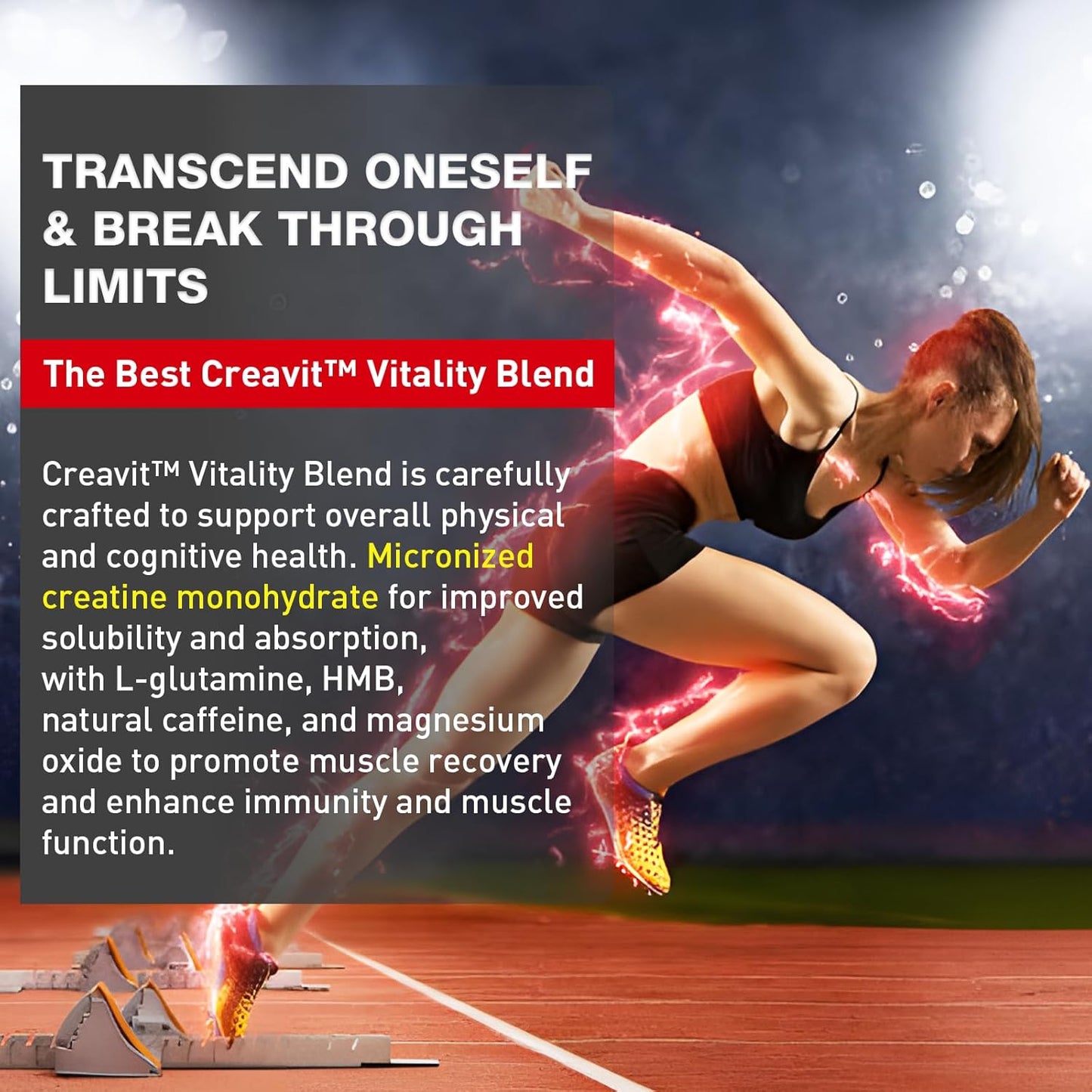 Micronized Creatine Monohydrate Powder Supplement - 5g per Serving | Includes L-Glutamine, HMB, Caffeine, Magnesium | Pack of 4