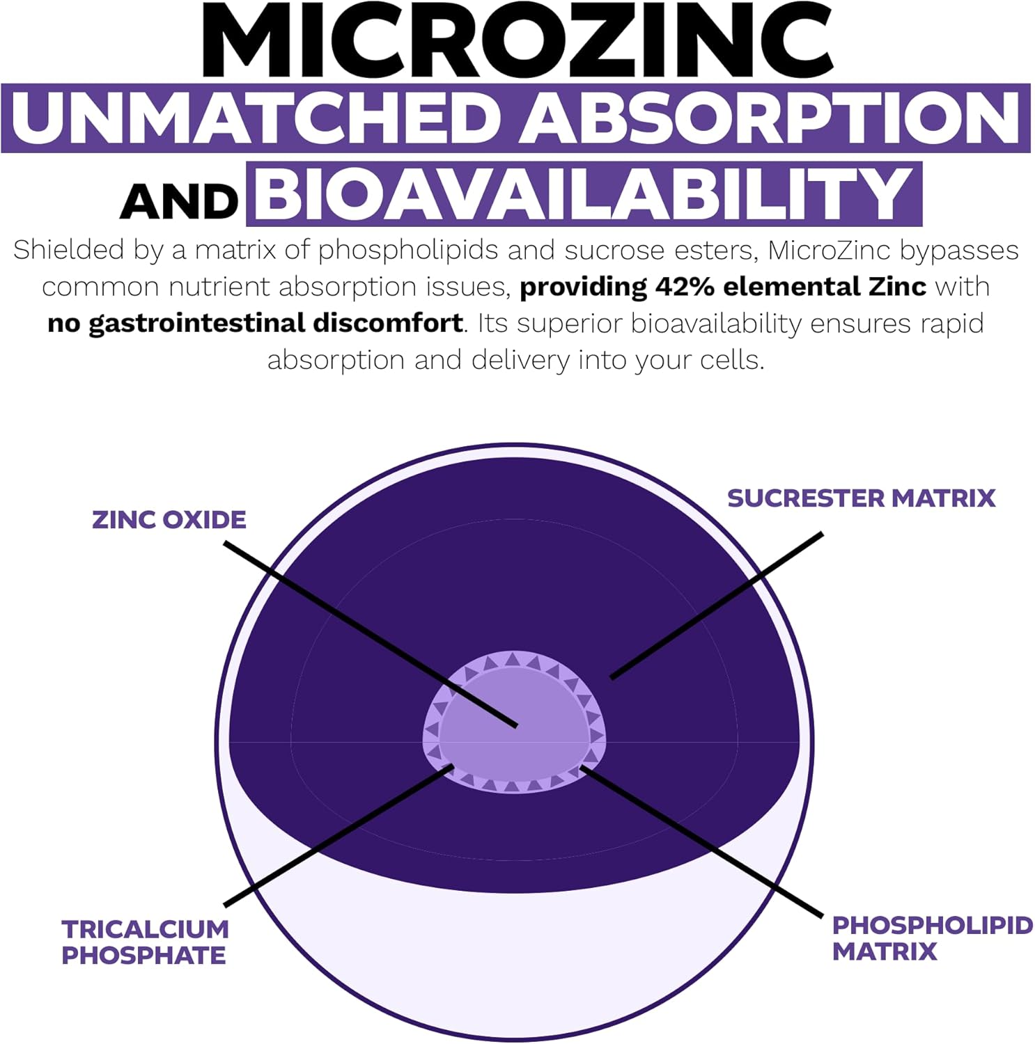 MicroZinc Capsules | 20mg Zinc Supplement | Enhanced Formula | 30 Count Bottle