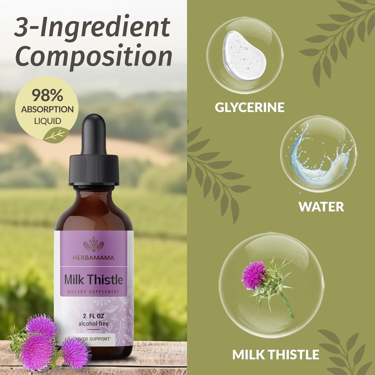 Milk Thistle and Chlorophyll Herbal Liquid Drops Bundle - Vegan Supplement Extract Kit - Non GMO, Sugar & Alcohol-Free - 2 fl oz (Pack of 2)