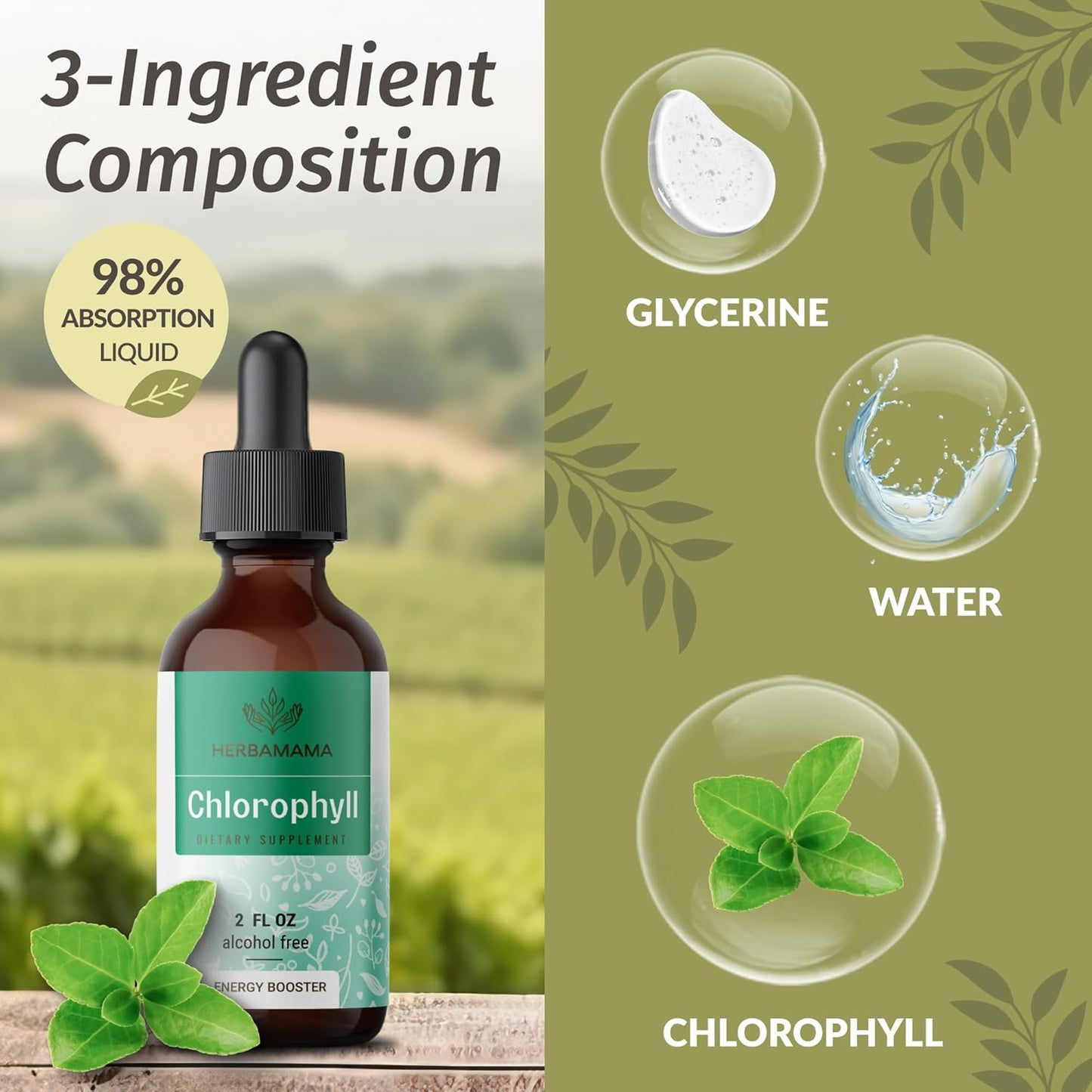 Milk Thistle and Chlorophyll Herbal Liquid Drops Bundle - Vegan Supplement Extract Kit - Non GMO, Sugar & Alcohol-Free - 2 fl oz (Pack of 2)