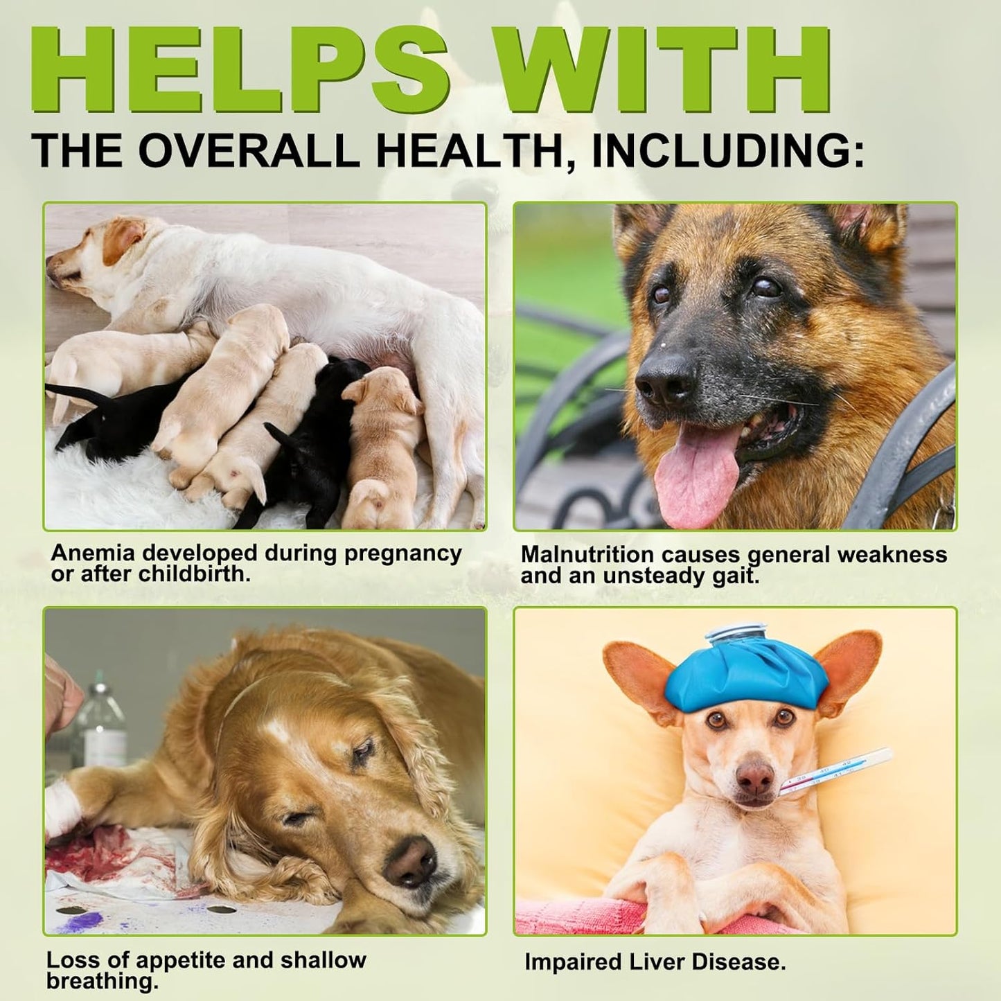 Milk Thistle Supplement for Dogs - Supports Liver, Kidney Health, Boosts Immune System - 180 Chewable Tablets