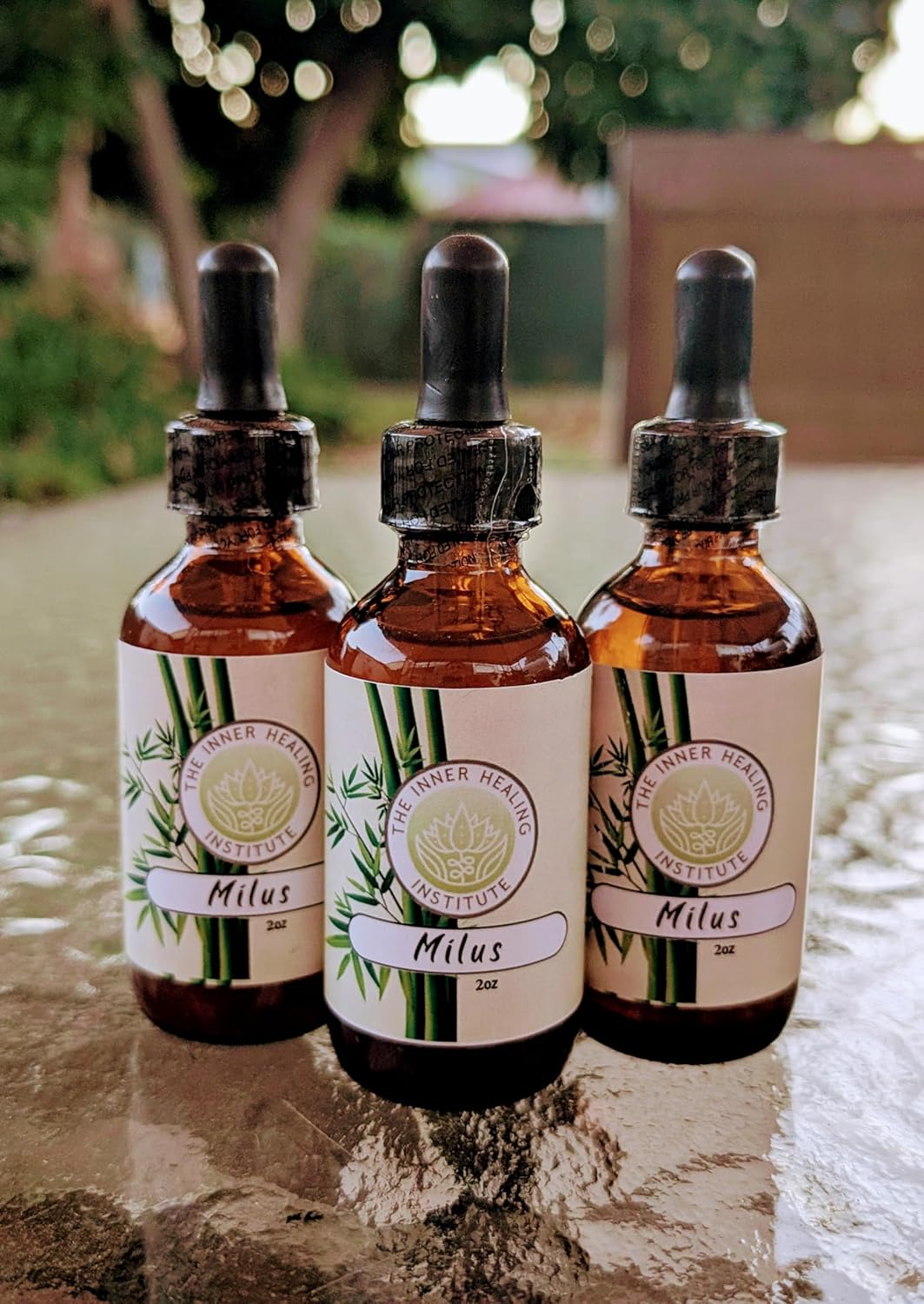 Milus 2oz Tincture: Oral Drops Supplement for Liver & Immune Support, Antioxidant for Heart Health, Nervous System, and Allergies