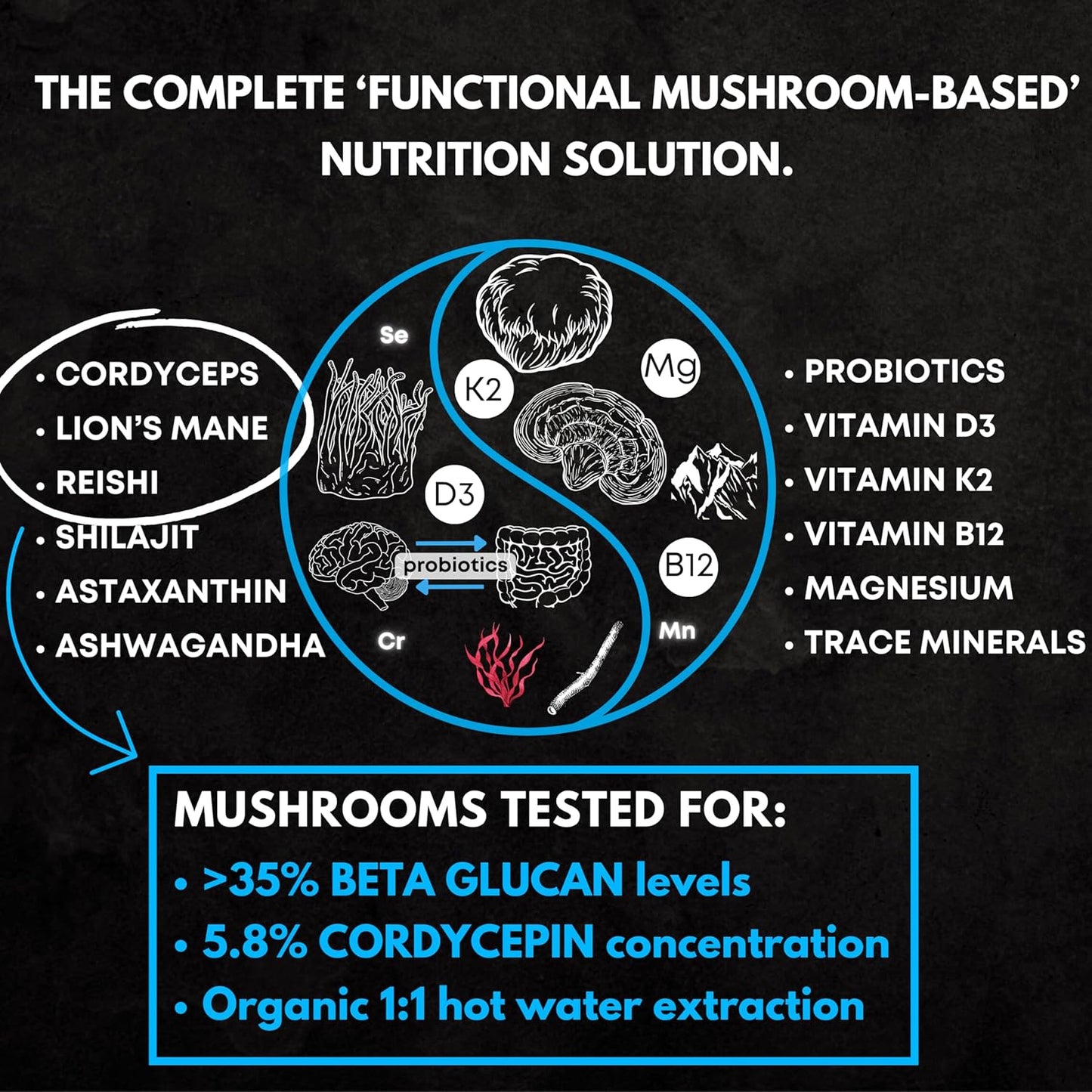 Mind Flow Mushroom Complex with Cordyceps, Lions Mane, and Reishi Extract, Super Foods, Vitamins, and Minerals - Includes Shilajit, Ashwagandha, Astaxanthin, Vitamin D3 + K2, and Magnesium L Threonate