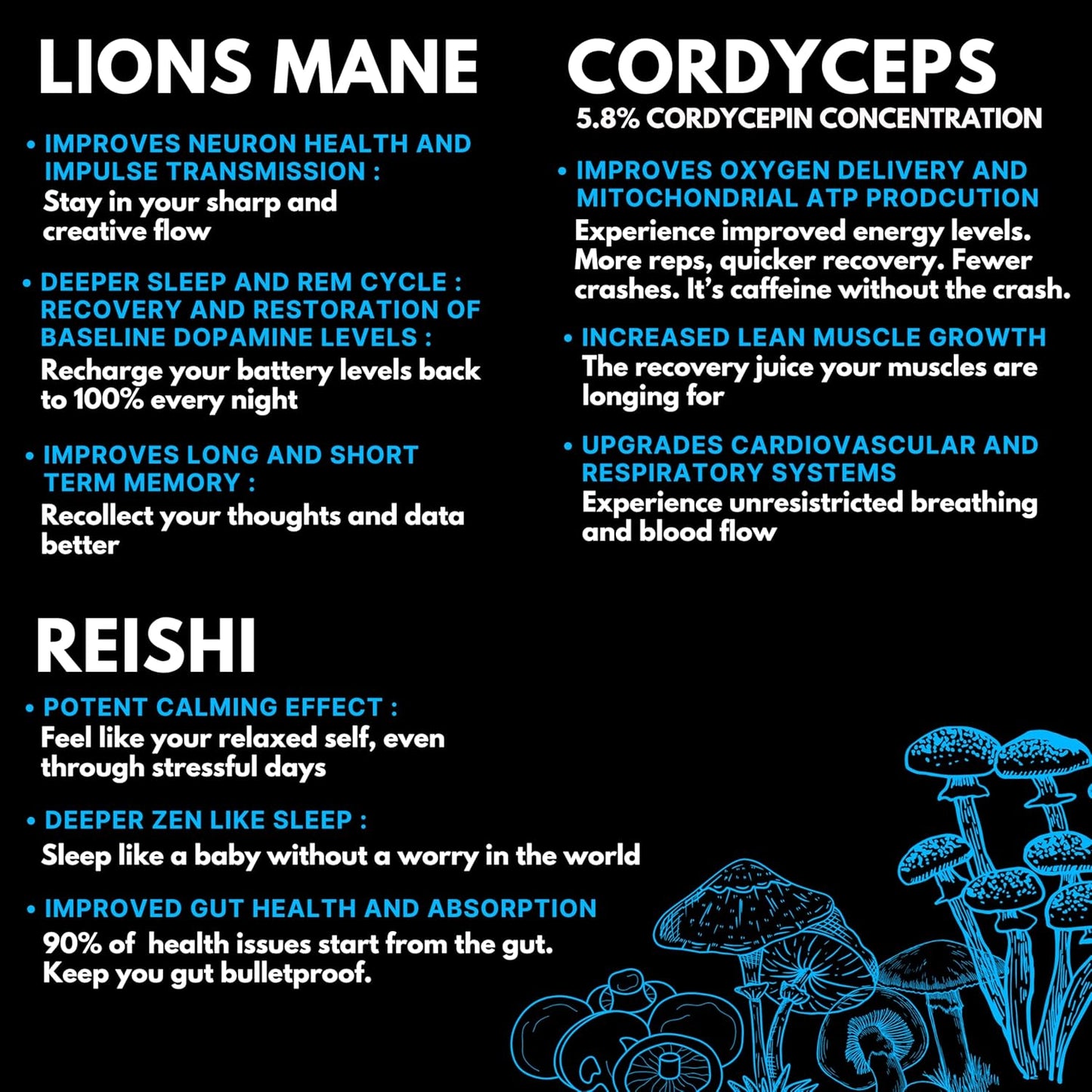 Mind Flow Mushroom Complex with Cordyceps, Lions Mane, and Reishi Extract, Super Foods, Vitamins, and Minerals - Includes Shilajit, Ashwagandha, Astaxanthin, Vitamin D3 + K2, and Magnesium L Threonate