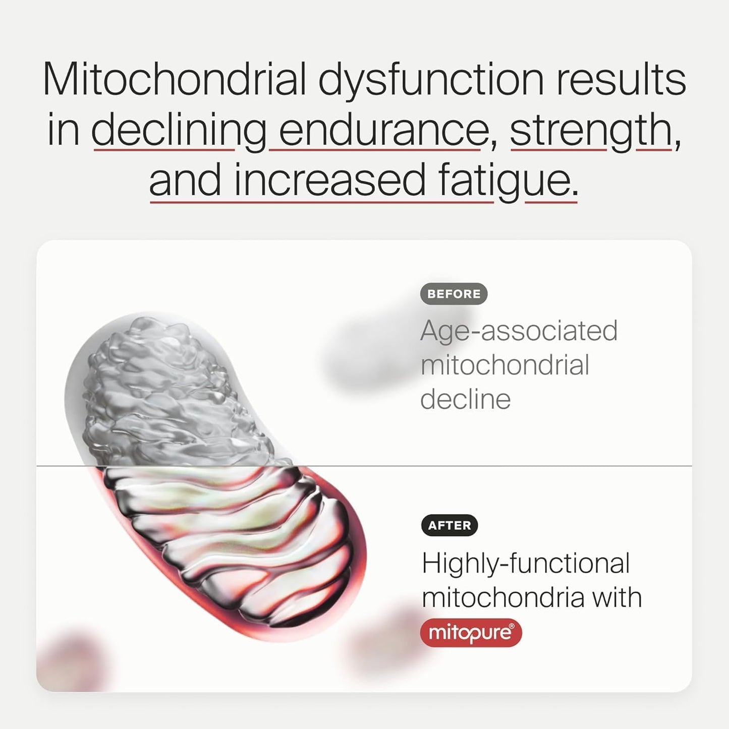 Mitopure Urolithin A Supplement for Healthy Aging and Muscle Strength - Clinically Proven Mitoceutical for Longevity - 30 Sachets