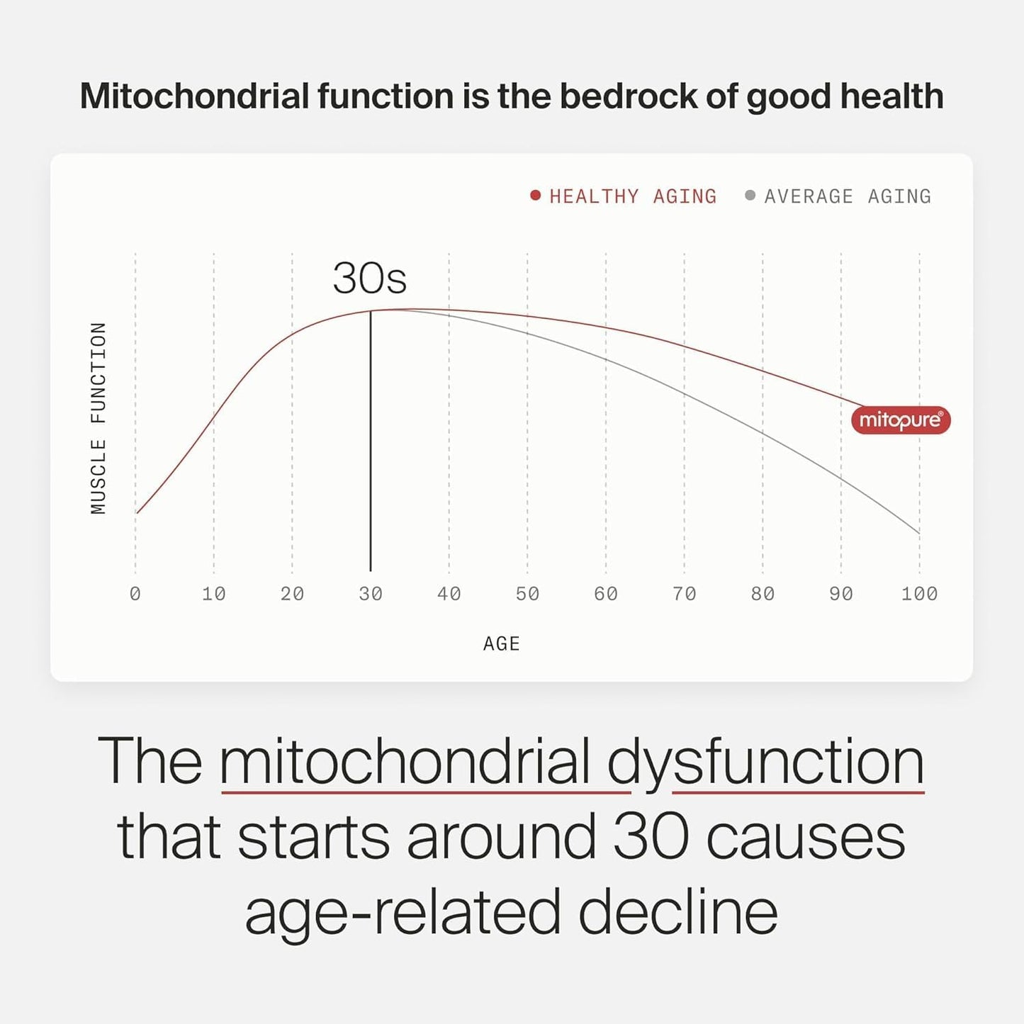 Mitopure Urolithin A Supplement for Healthy Aging and Muscle Strength - Clinically Proven Mitoceutical for Longevity - 30 Sachets