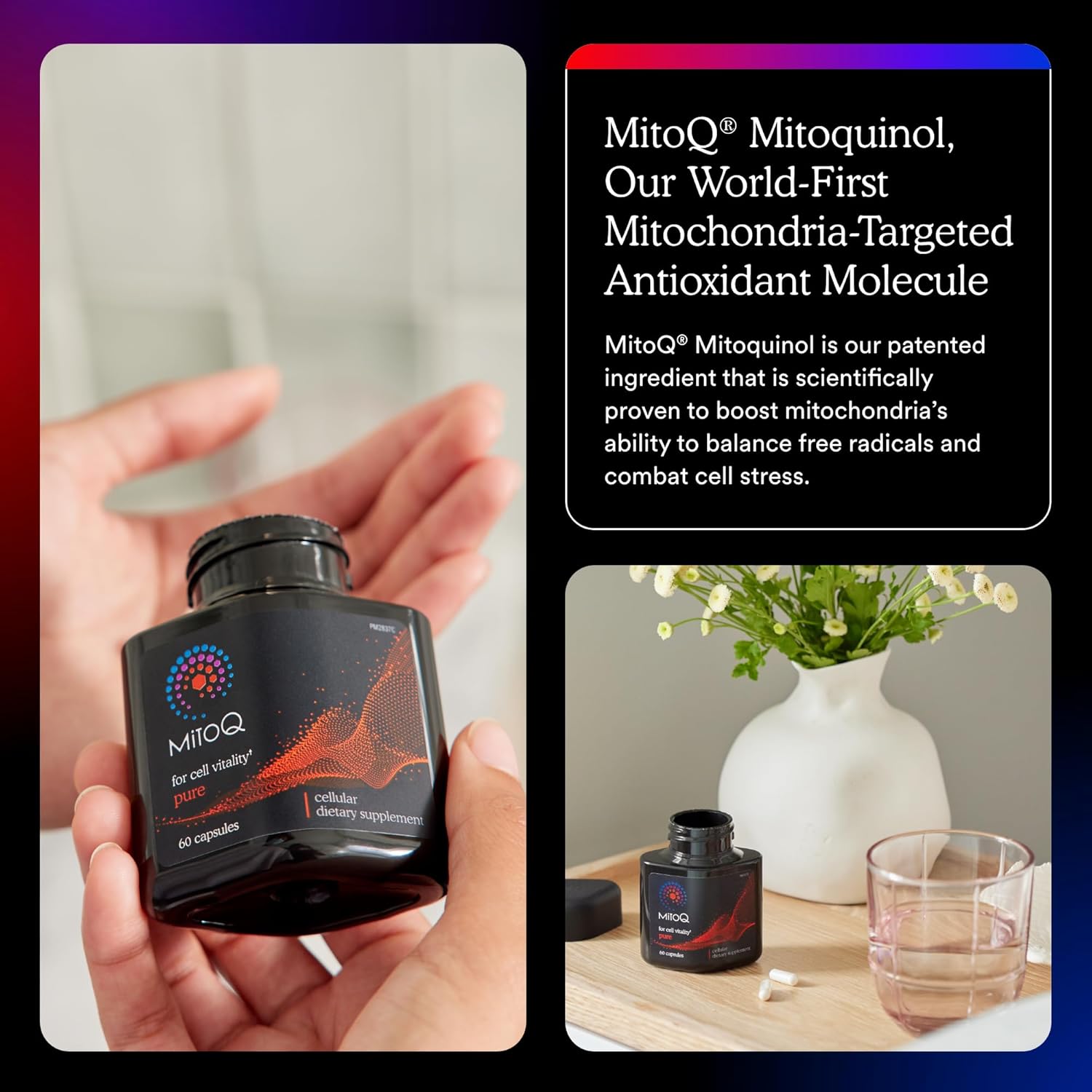 MitoQ Antioxidant Supplement for Cellular Longevity & Energy Support - 60 Capsules