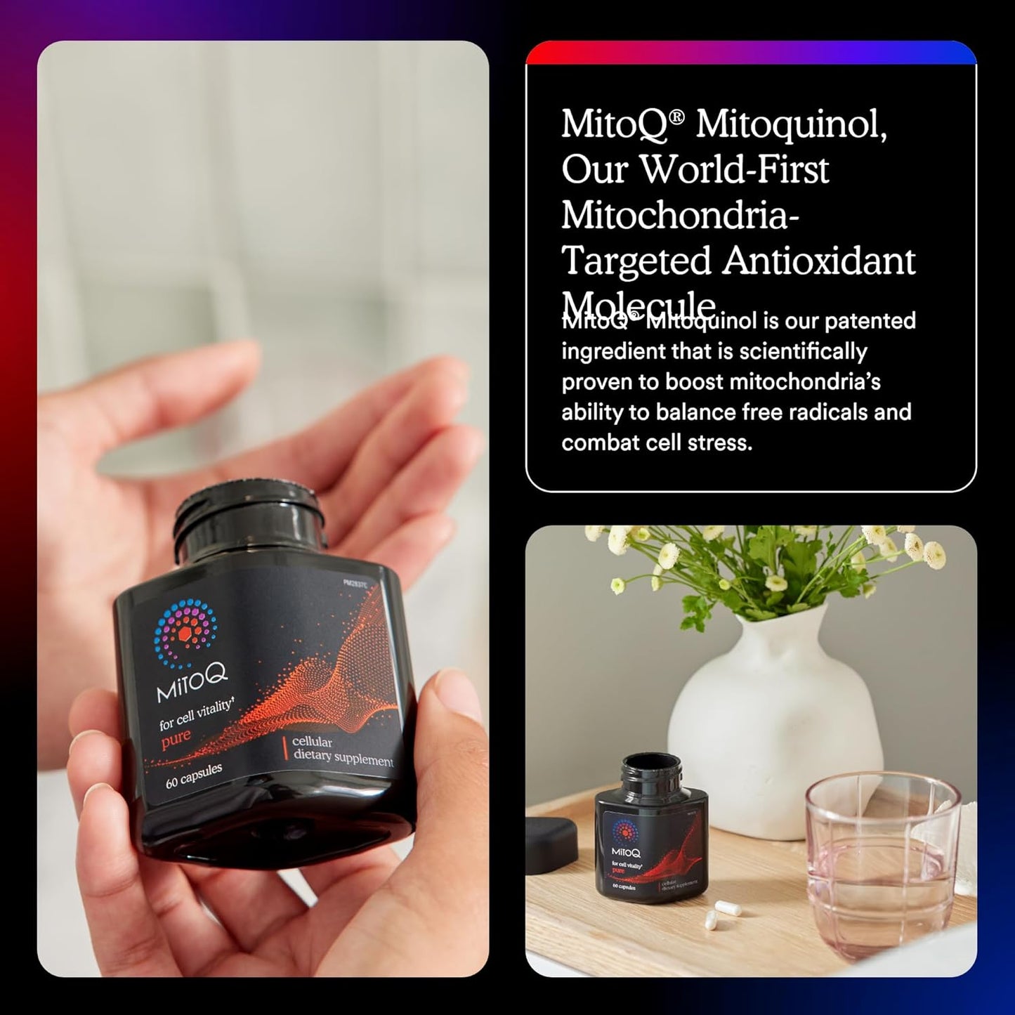 MitoQ Antioxidant Supplement for Cellular Longevity, Metabolic Health, and Energy Support - 180 Capsules