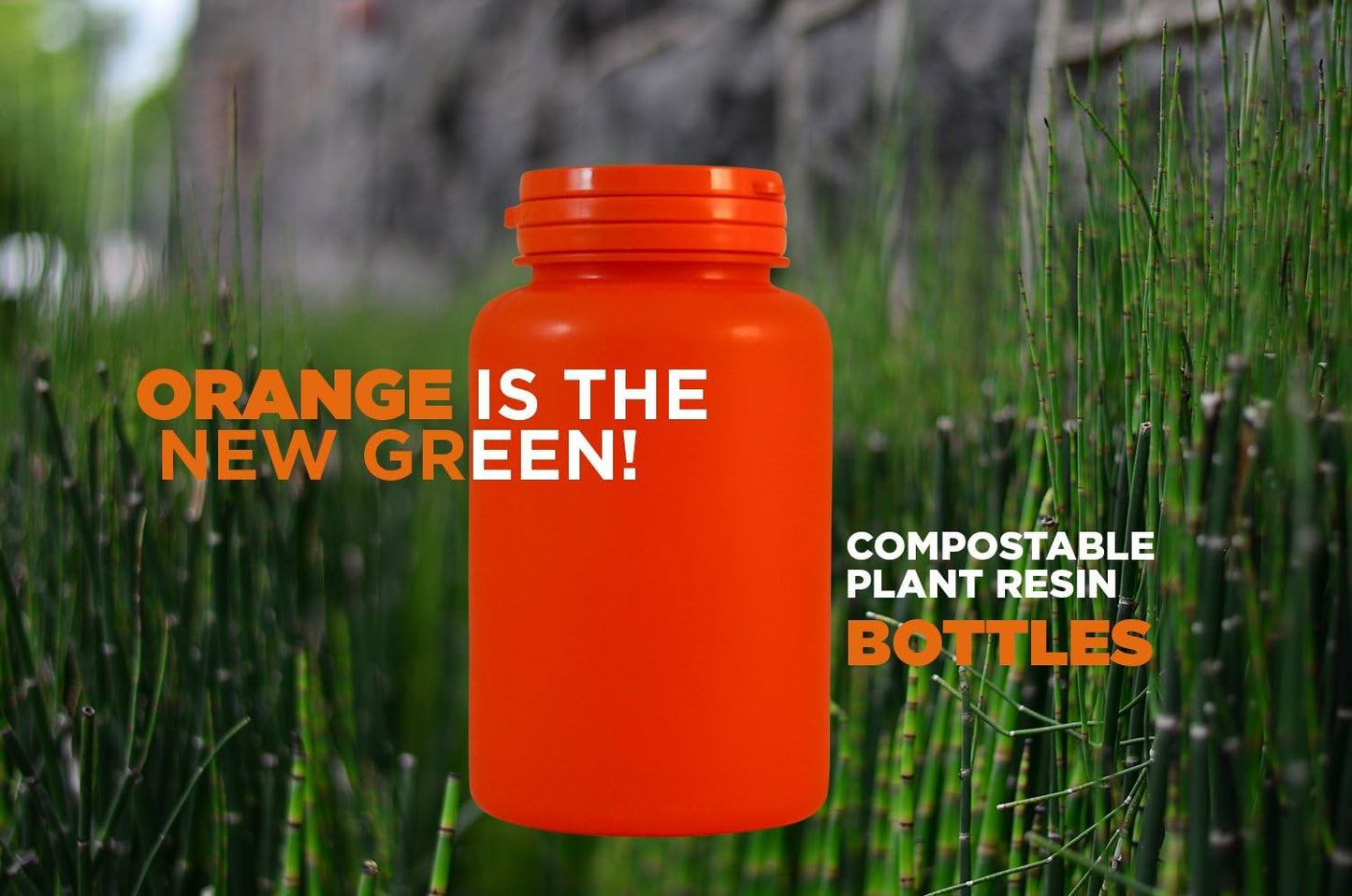 Mt. Angel Vitamins Triple B-12 Dots - Promotes Nervous System Health and Energy Production - 90 Dots