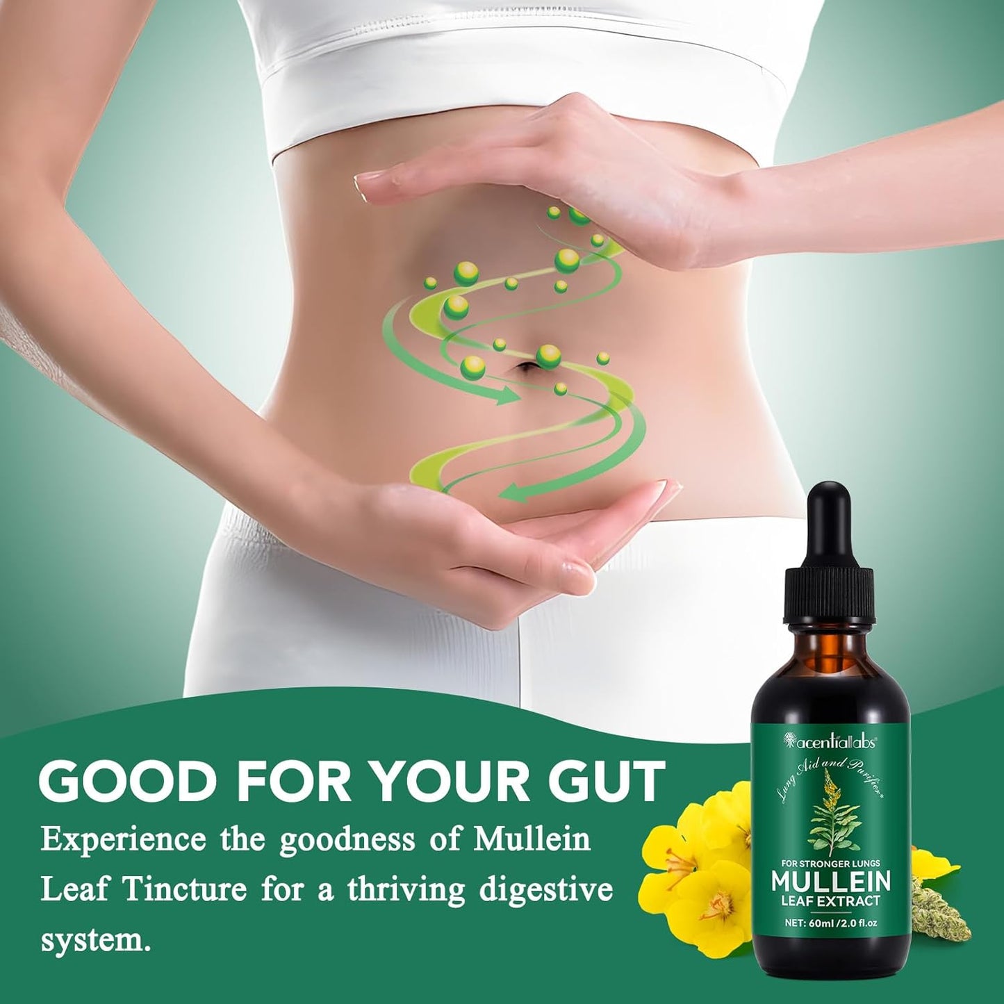 Mullein Leaf Drops for Lung Cleanse and Phlegm - Powerful Extract for Stronger Lungs