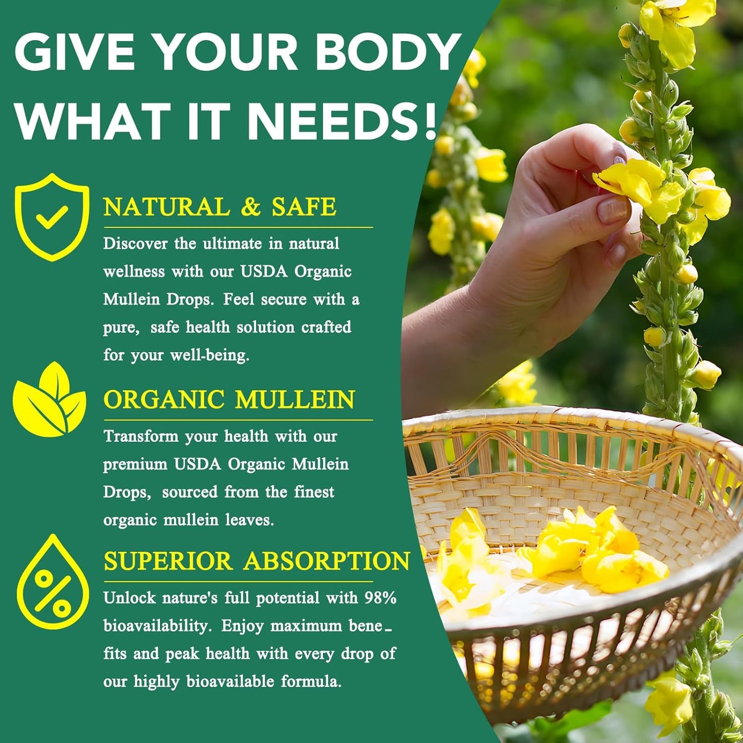 Mullein Leaf Drops for Lung Cleanse and Phlegm - Powerful Extract for Stronger Lungs