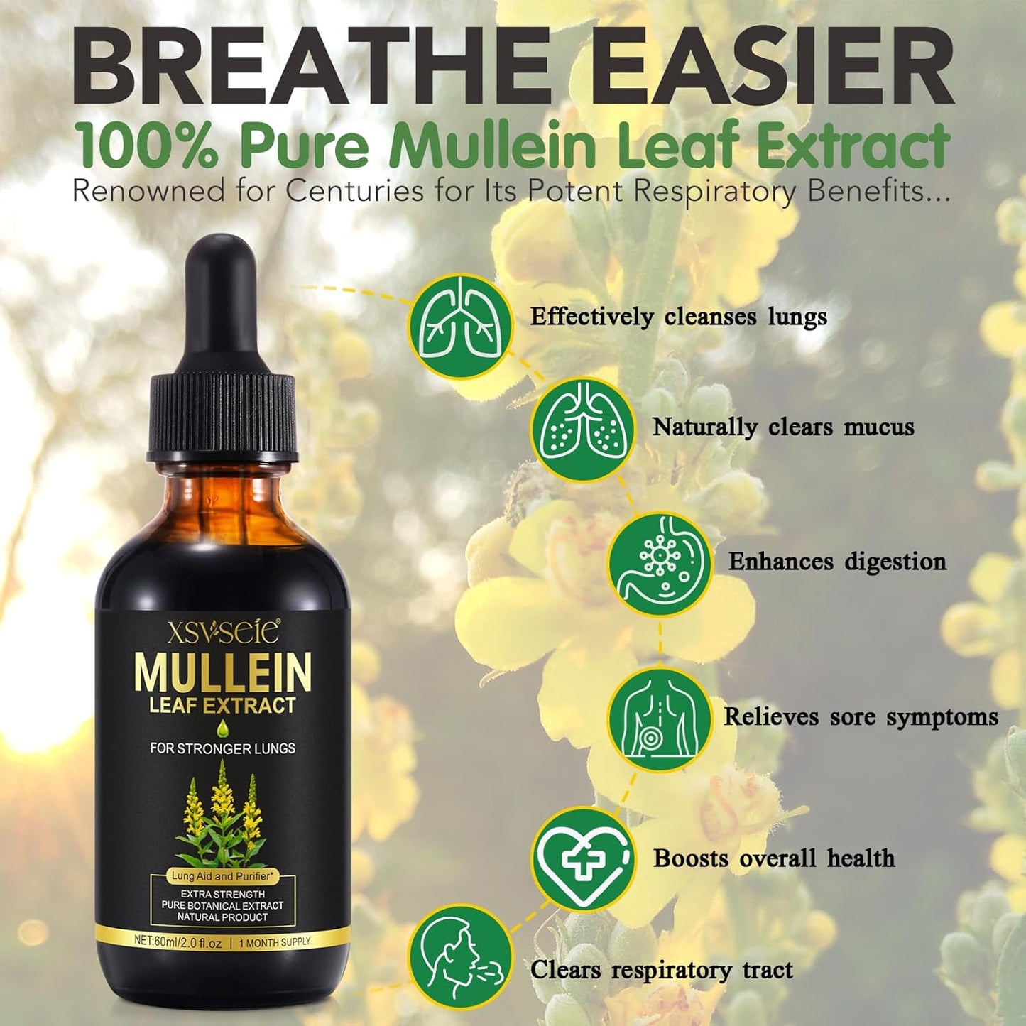 Mullein Leaf Extract Drops with Chlorophyll for Lung Health - Natural Herbal Supplement for Cleanse and Breathe