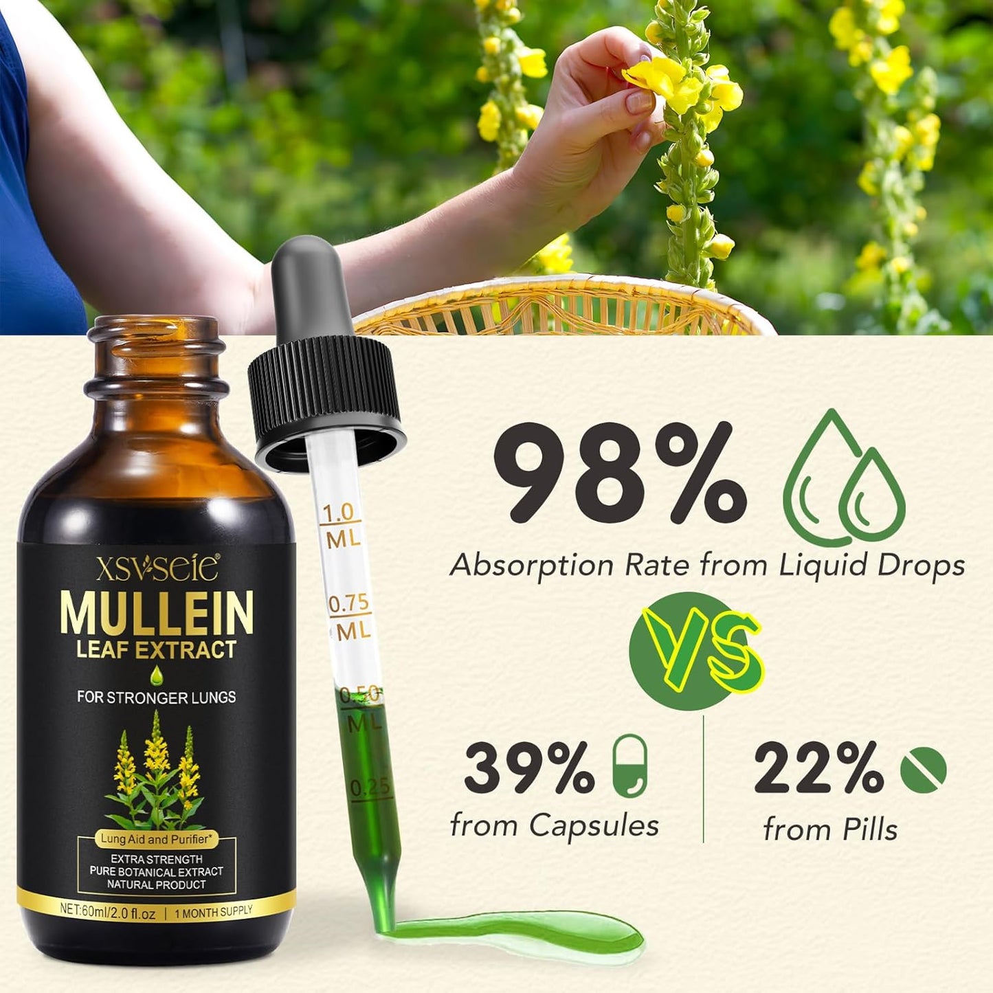 Mullein Leaf Extract Drops with Chlorophyll for Lung Health - Natural Herbal Supplement for Cleanse and Breathe