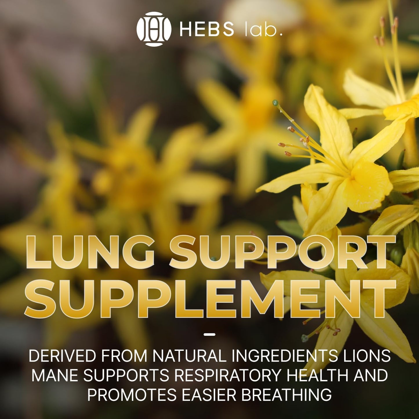 Mullein Leaf Extract Tincture for Lung Health - Made in USA - Herbal Respiratory Support Supplement - 2 Fl Oz Bottle