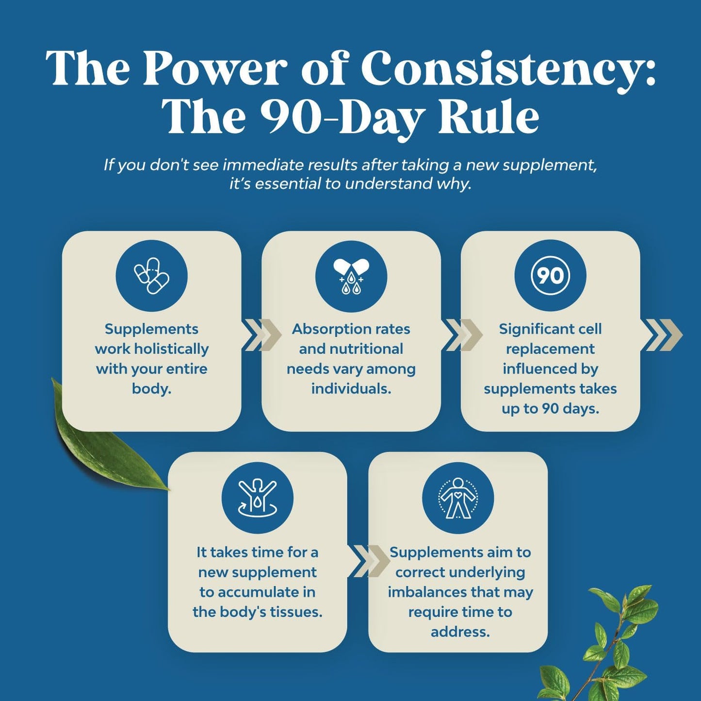 Mullein Leaf Lung Detox Capsules with NAC, Quercetin, and Cordyceps Extracts - Respiratory Support Supplement for Sinus Health and Immunity