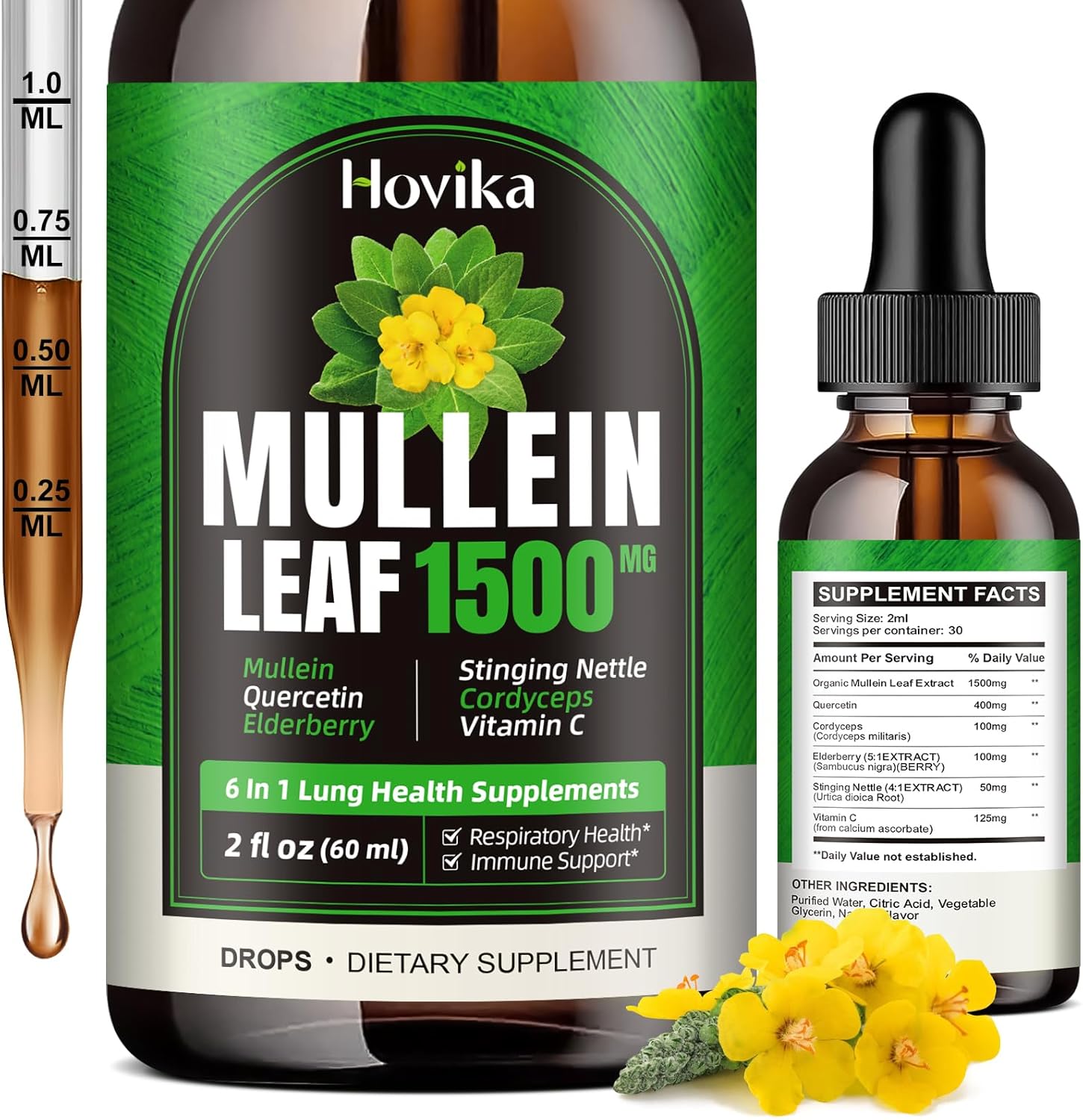 Mullein Lung Support Drops with Quercetin, Cordyceps & Elderberry - Natural Respiratory Cleanse Supplement