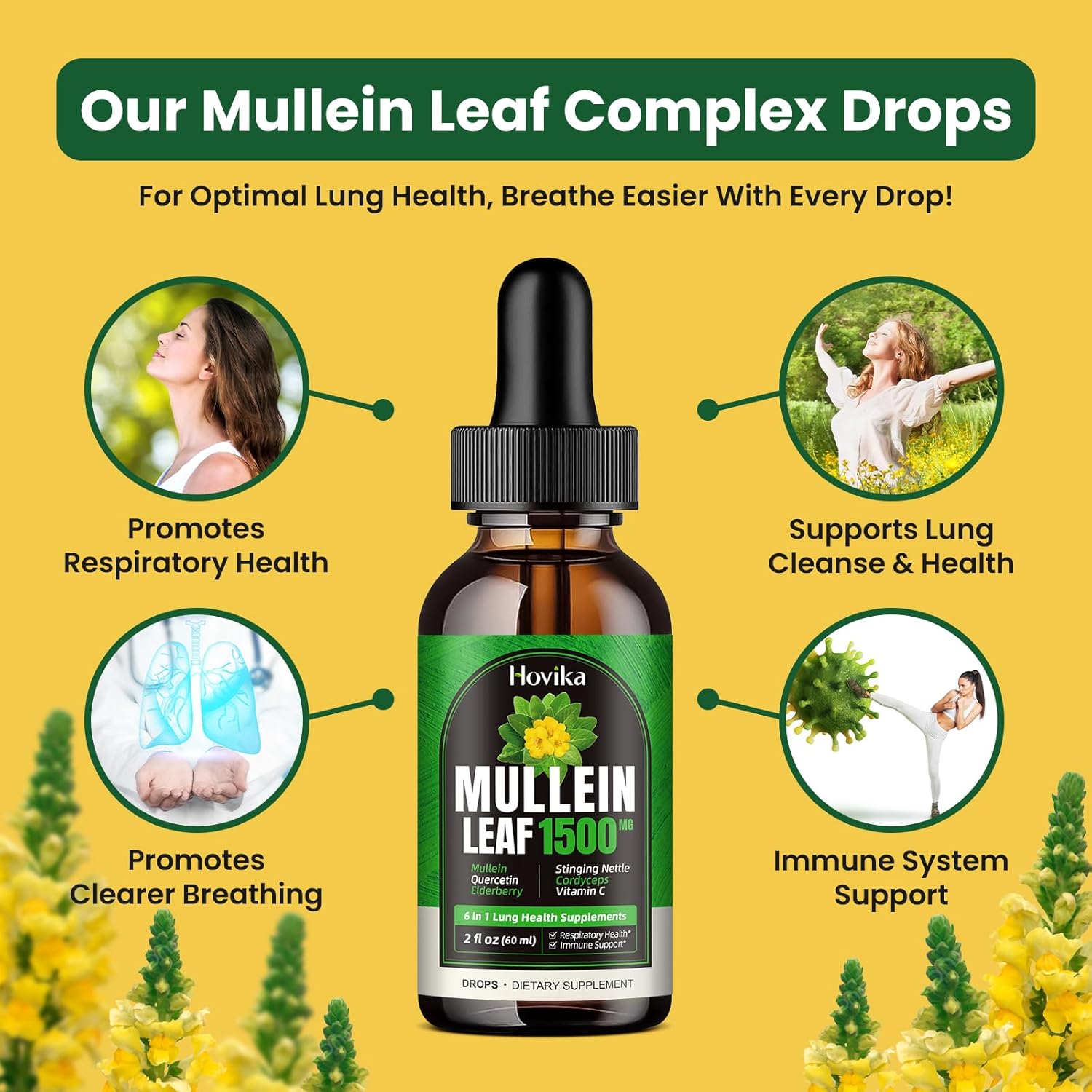 Mullein Lung Support Drops with Quercetin, Cordyceps & Elderberry - Natural Respiratory Cleanse Supplement