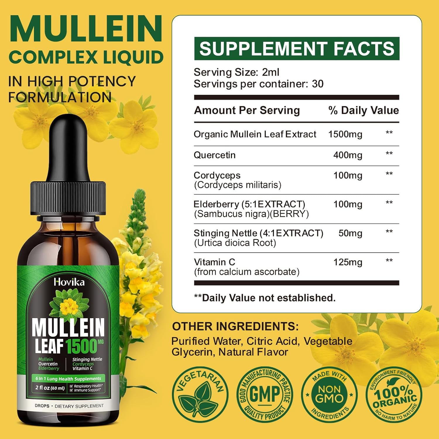 Mullein Lung Support Drops with Quercetin, Cordyceps & Elderberry - Natural Respiratory Cleanse Supplement
