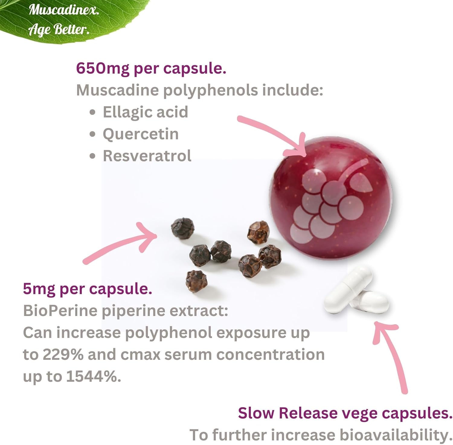 Muscadinex USA Muscadine Quercetin, Ellagic Acid, Resveratrol, Myricetin, Kaempferol Capsules with BioPerine for Enhanced Absorption. Vegan & Non-GMO. Made in USA.