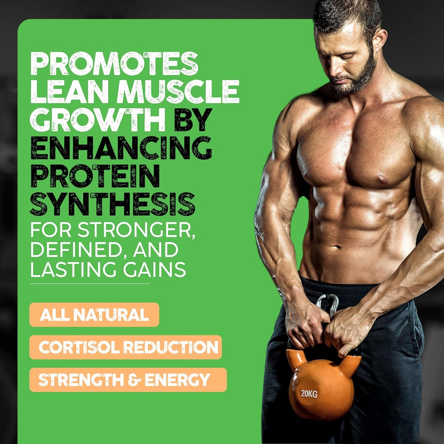 Muscle Builder Supplement with Vitamin B3, B6, Phosphatidylserine, Epicatechin & Cayenne - Supports Muscle Growth, Focus, Energy & Protein Synthesis - Made in USA - 90 Capsules