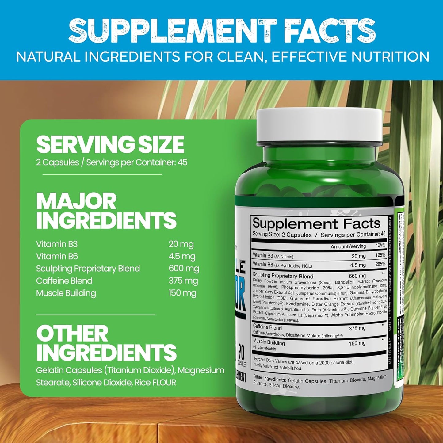 Muscle Builder Supplement with Vitamin B3, B6, Phosphatidylserine, Epicatechin & Cayenne - Supports Muscle Growth, Focus, Energy & Protein Synthesis - Made in USA - 90 Capsules