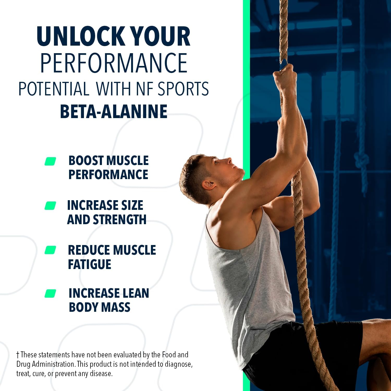 Muscle Recovery Powder with Beta Alanine | Reduces Fatigue | Unflavored Protein Supplement | Promotes Carnosine Levels | 320g (100 Servings)