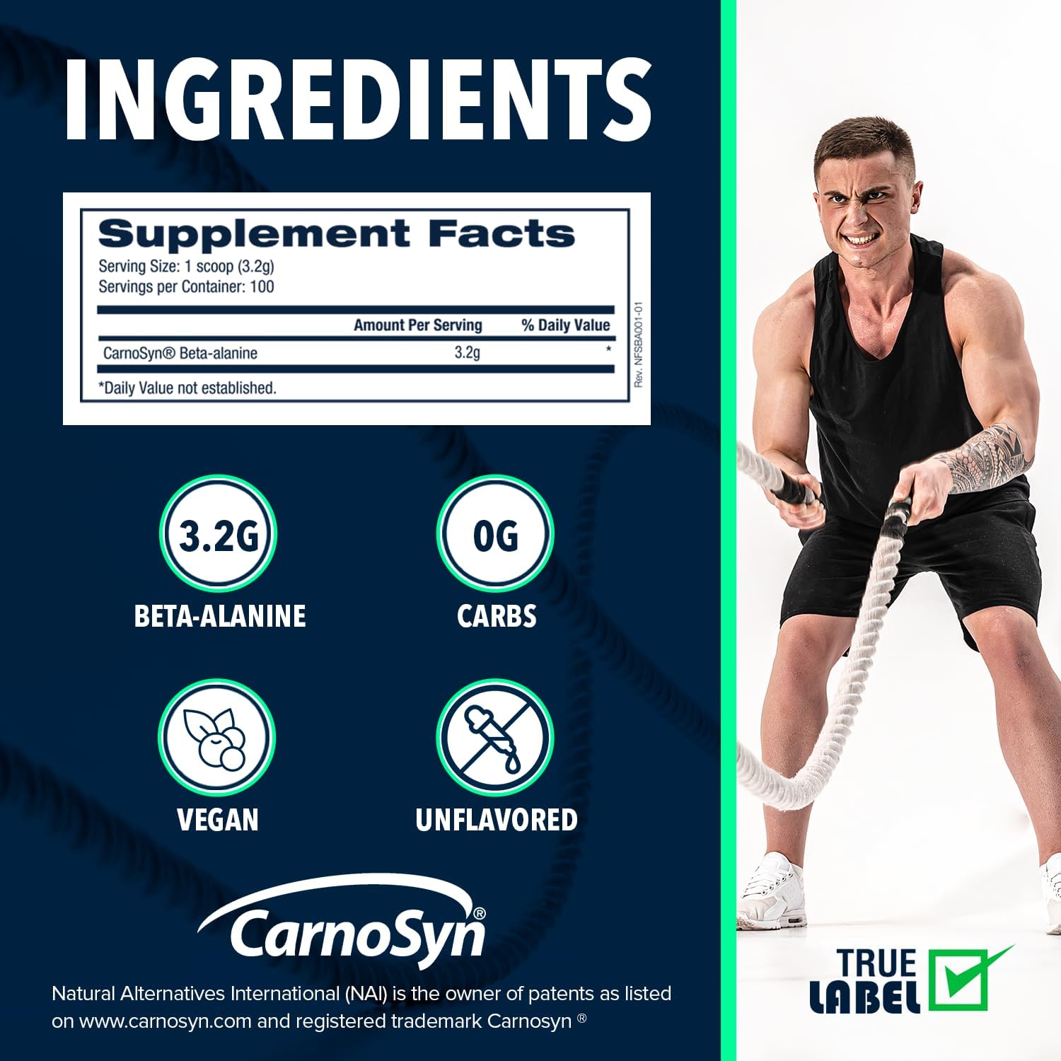 Muscle Recovery Powder with Beta Alanine | Reduces Fatigue | Unflavored Protein Supplement | Promotes Carnosine Levels | 320g (100 Servings)