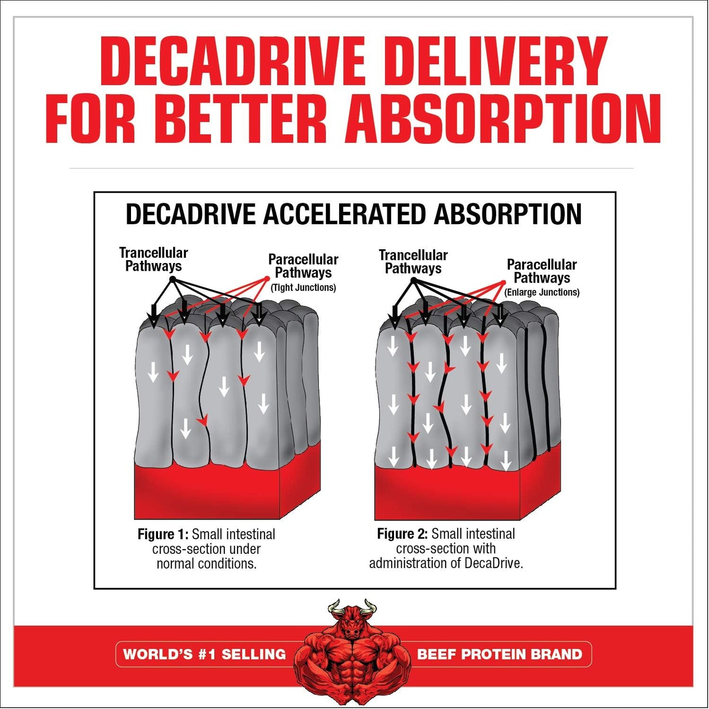 MuscleMeds Amino Decanate Watermelon Flavor 13.3 Oz Supplement