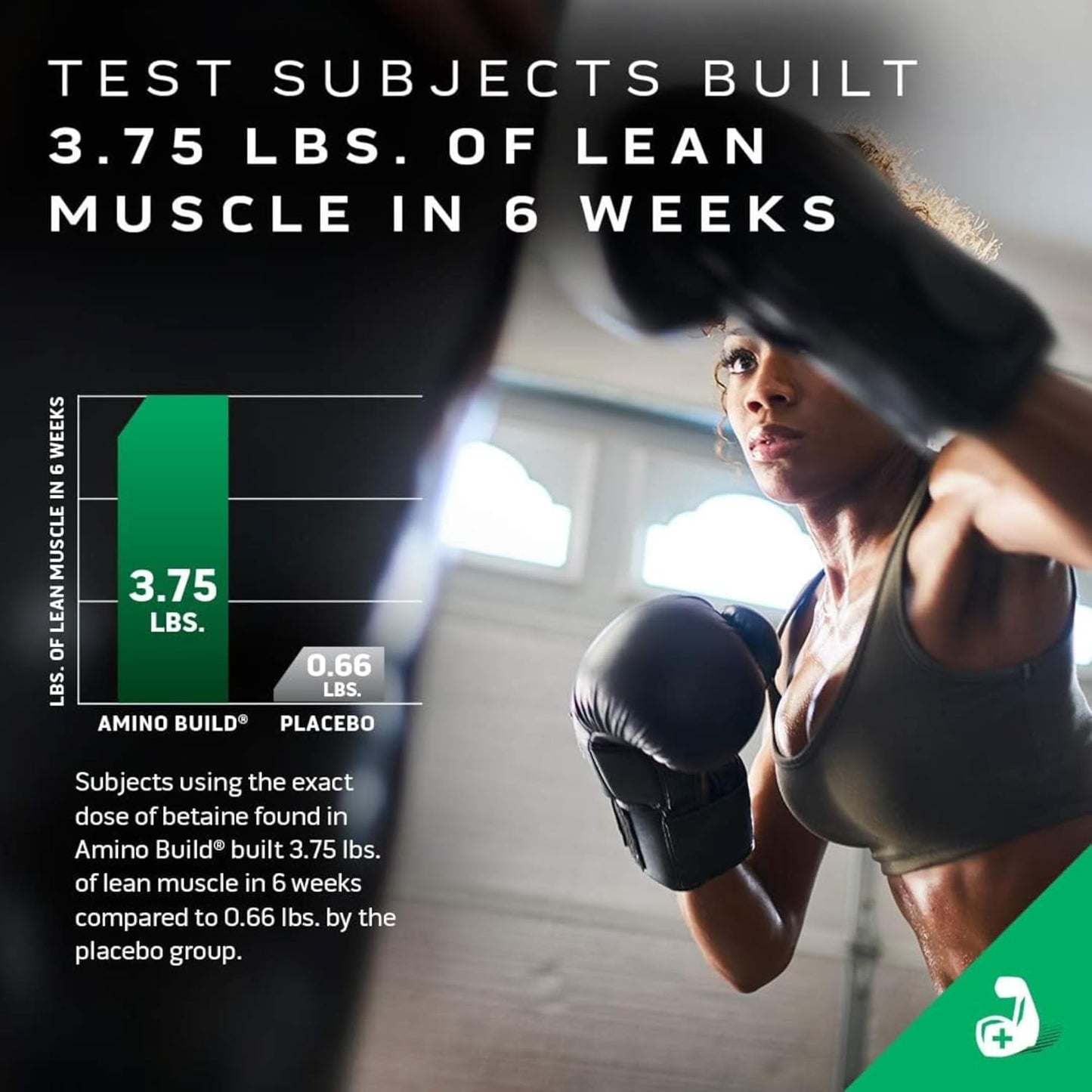 MuscleTech Amino Build: BCAA Amino Acids + Electrolyte Powder for Muscle Recovery & Endurance, Tropical Twist, 40 Servings