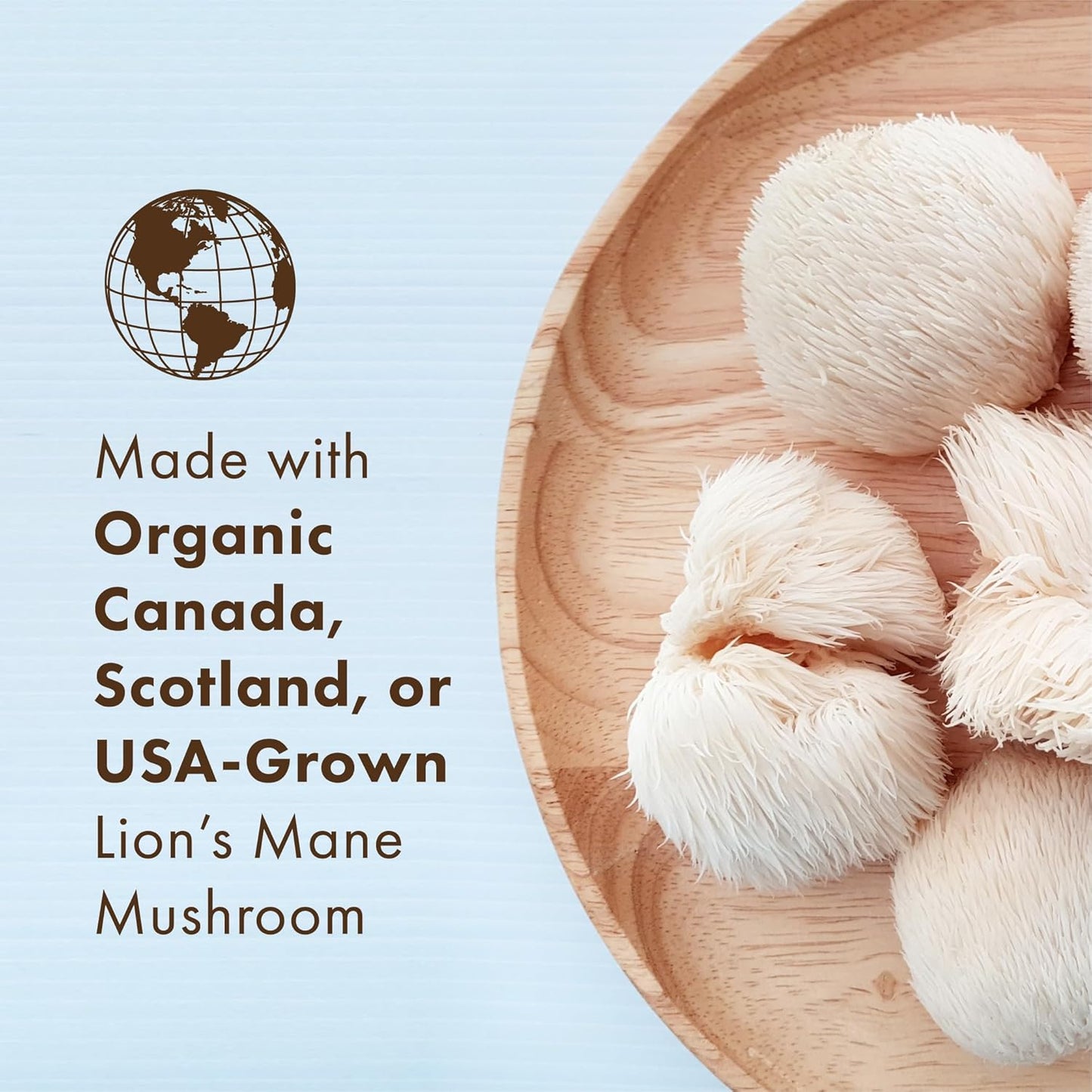 MyPure Lion's Mane 4X Supplement for Cognitive Health & Mental Clarity - Ultra Strength Brain Support with Hot Water & 10:1 Extract - 30 Capsules